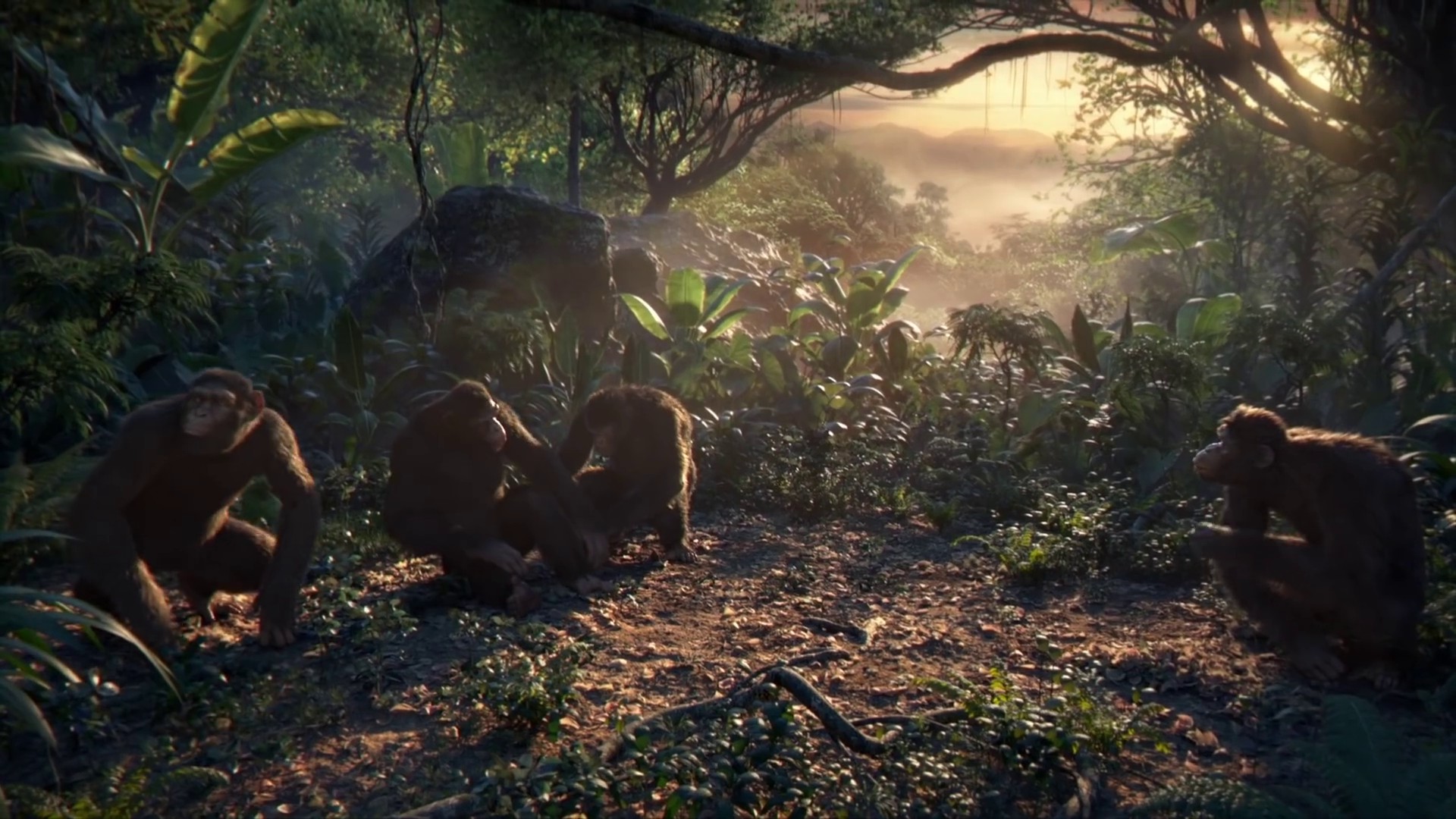 Adventure Of A Lifetime (2015) —  shot,  lighting