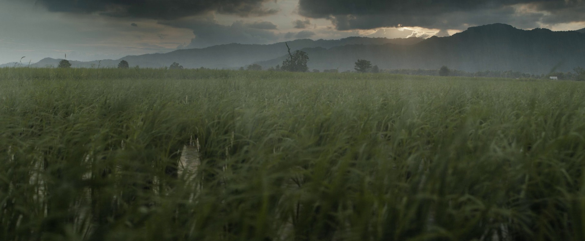 Thirteen Lives (2022) —  shot,  lighting