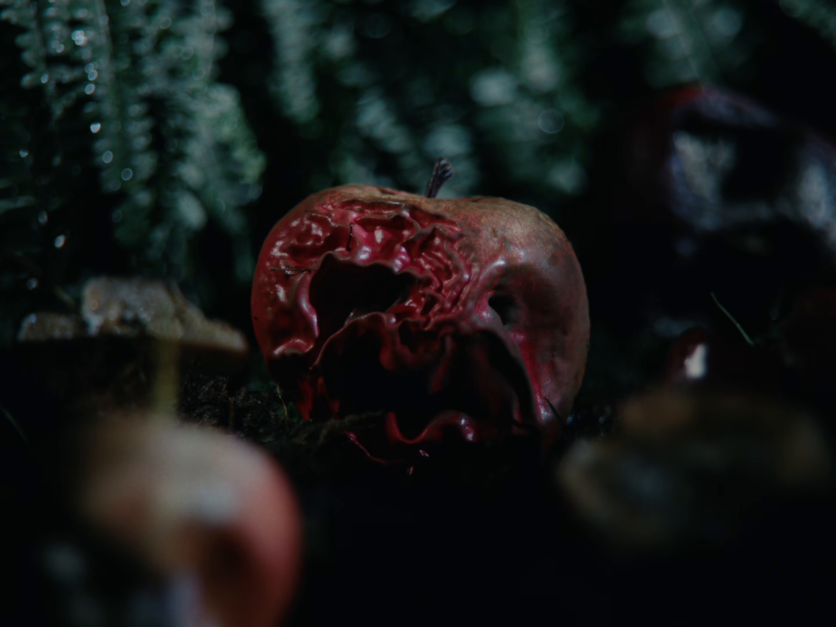 DON’T YOU SEE ME TRYING ? (2026) —  shot,  lighting