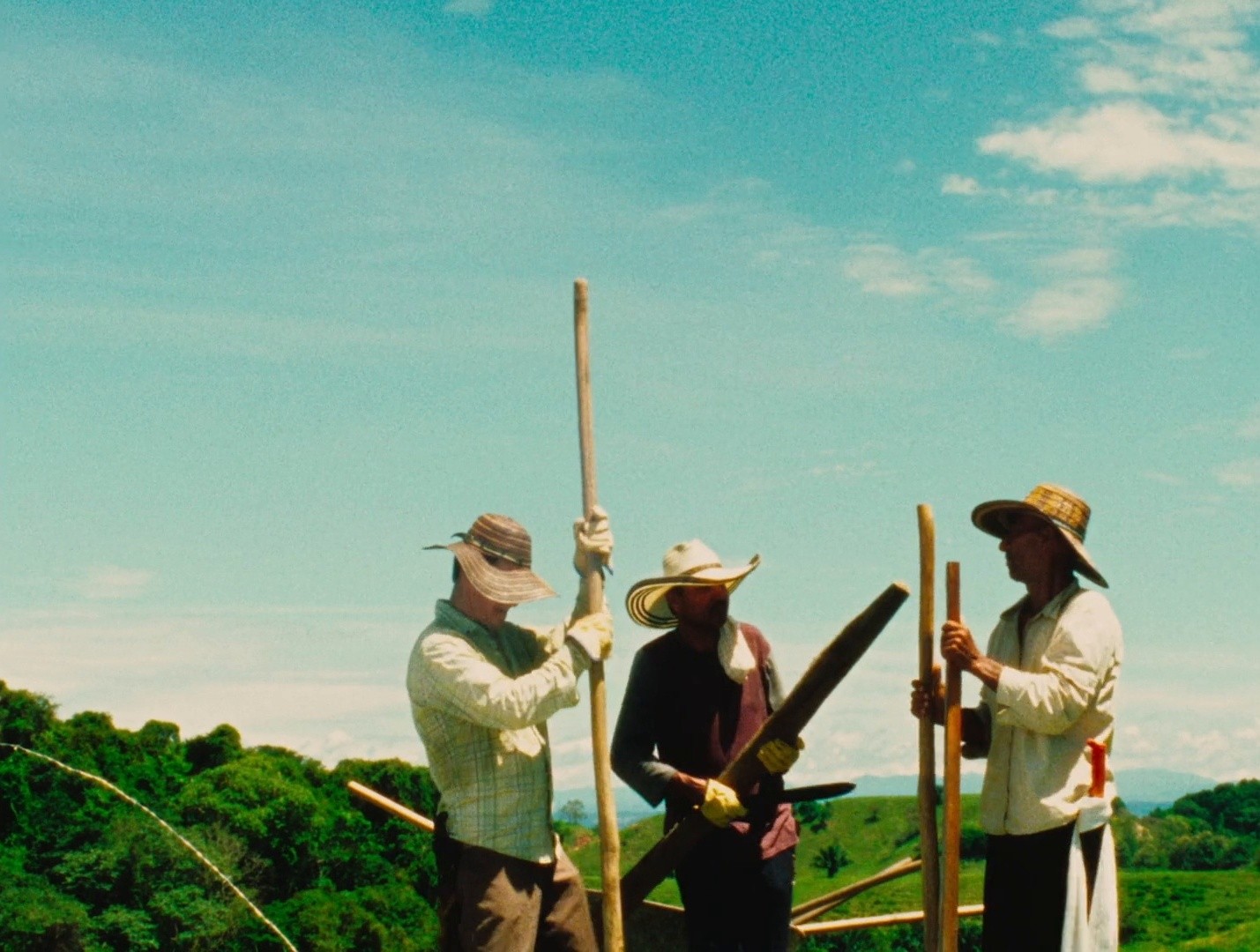 Pepe (2024) —  shot,  lighting