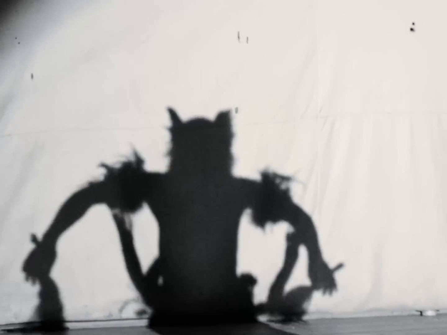 WONDERFUL (2025) —  shot,  lighting