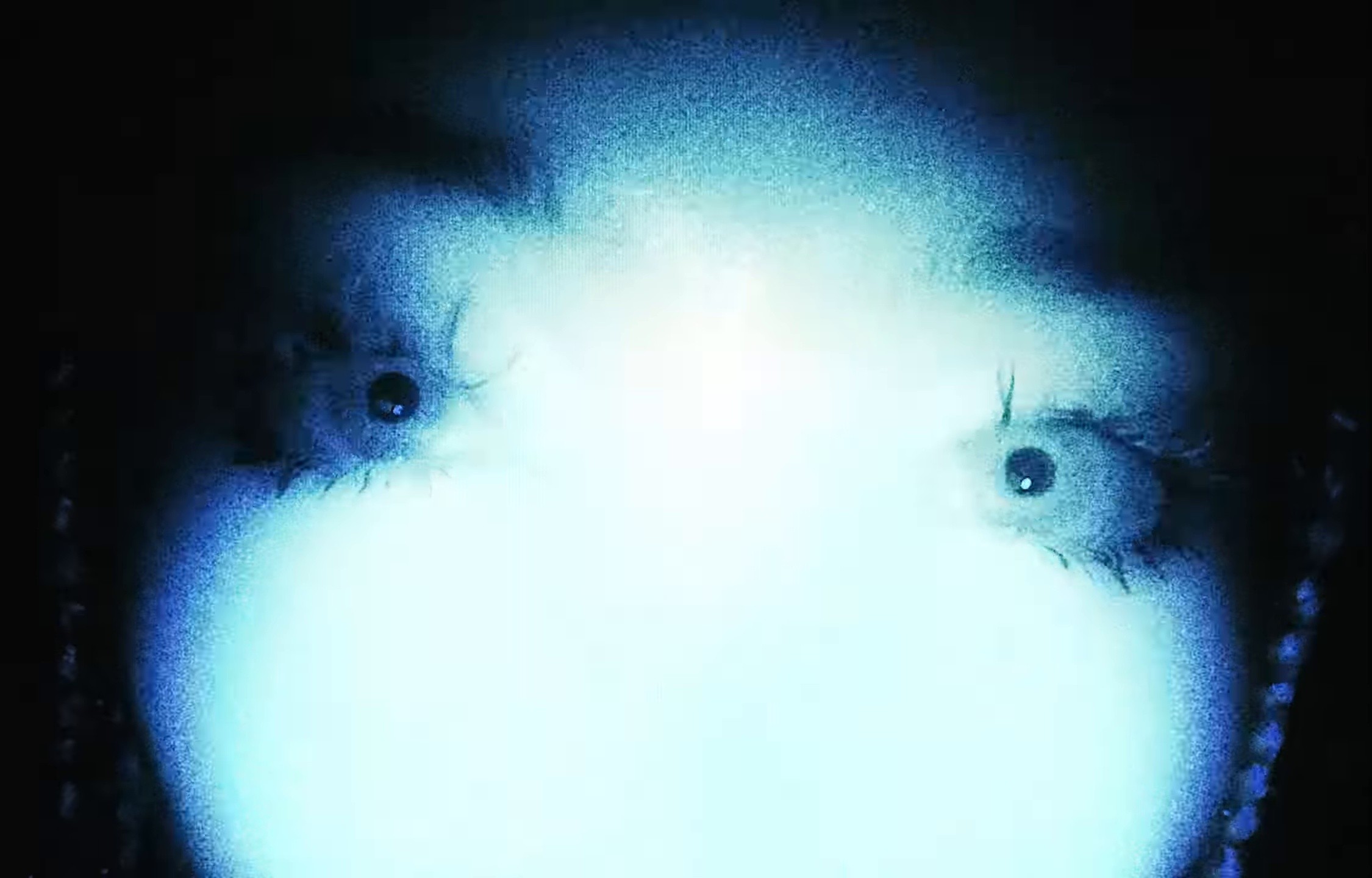 SLURRR (2024) —  shot,  lighting