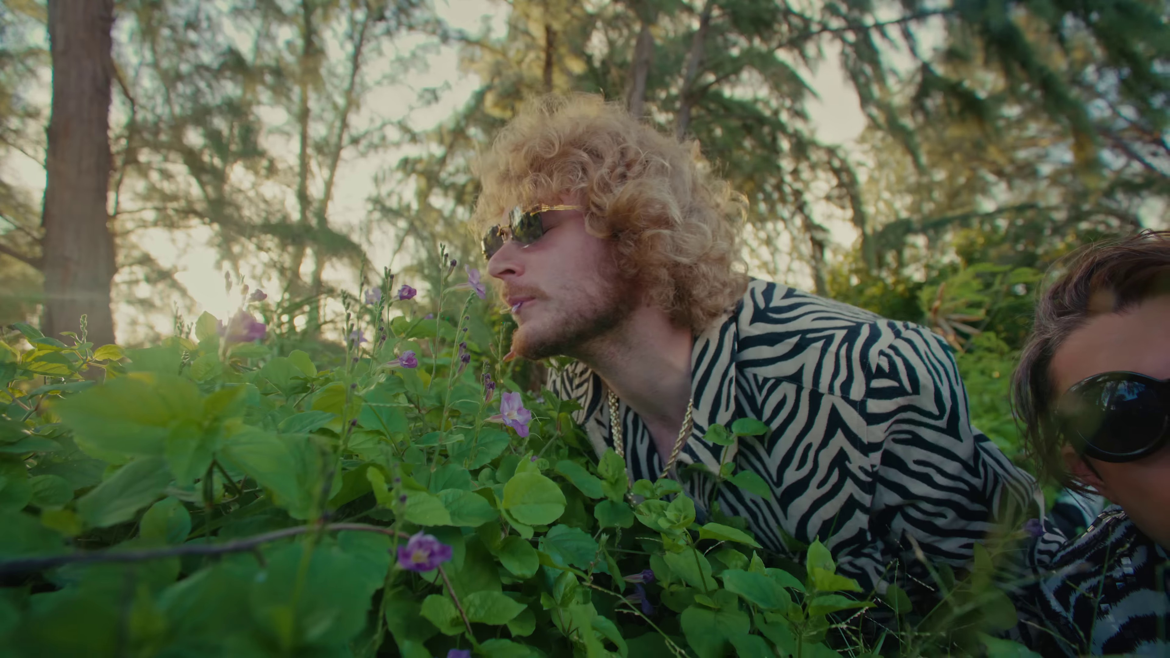 Goodness Gracious  (2023) —  shot,  lighting