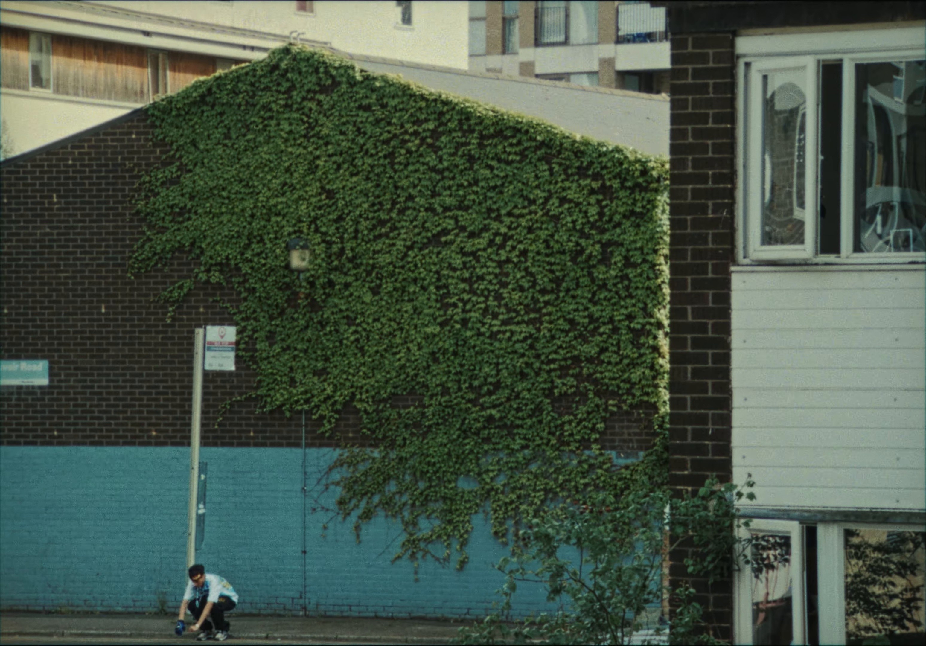 JUNGLE (2025) —  shot,  lighting