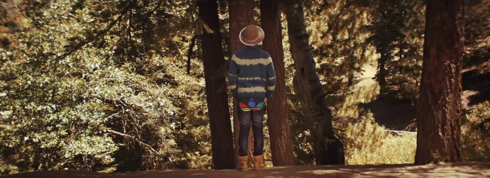 Gust of Wind  (2014) —  shot,  lighting