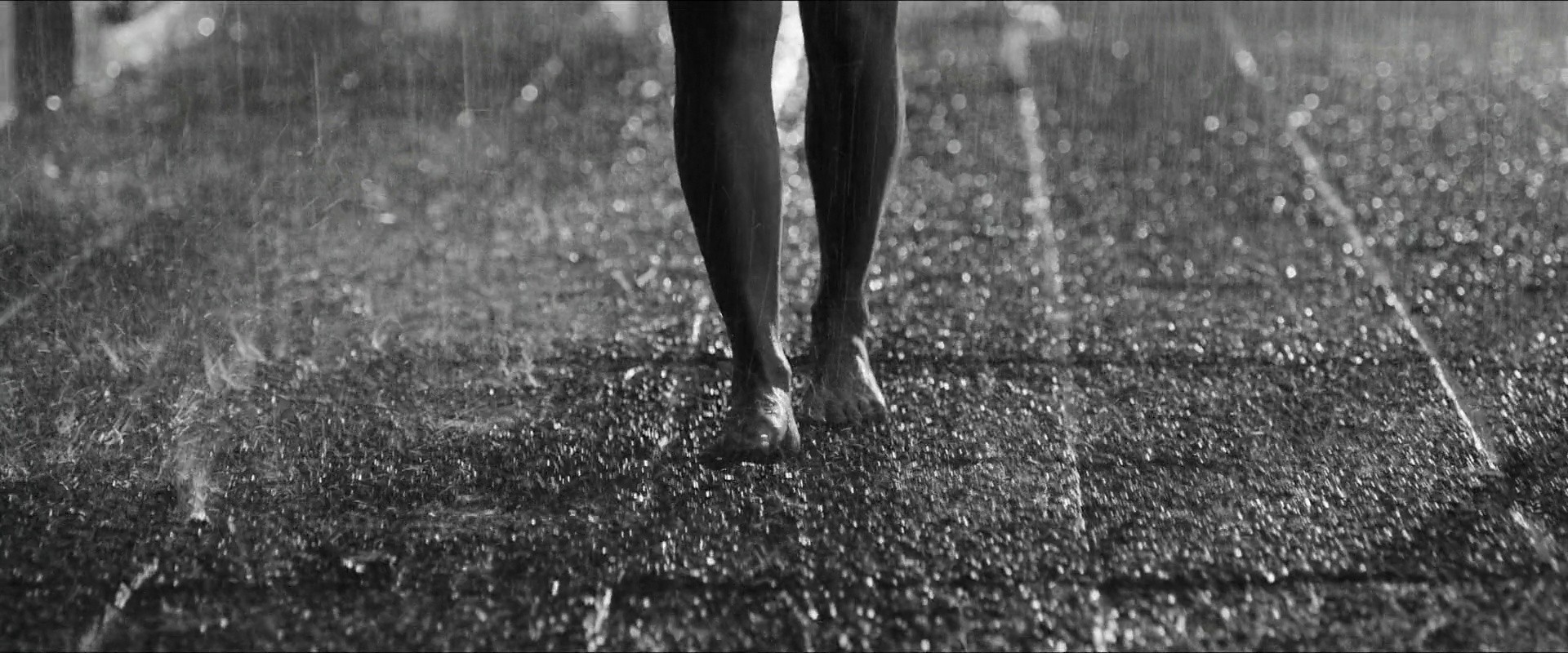 The Attachment Diaries (2021) —  shot,  lighting