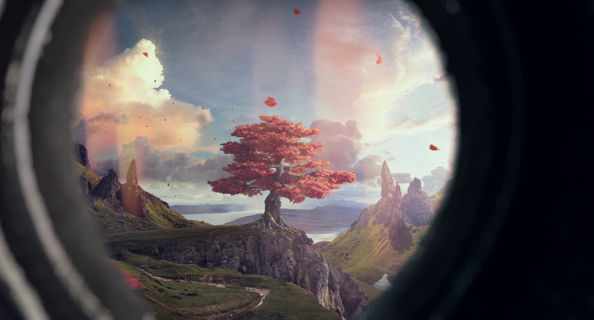 My Father's Stories (2021) —  shot,  lighting