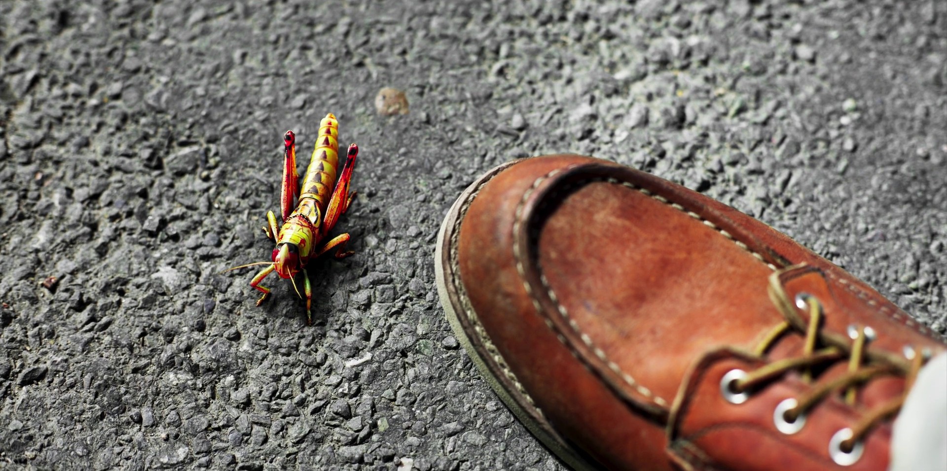 Friday - The Father (2020) —  shot,  lighting