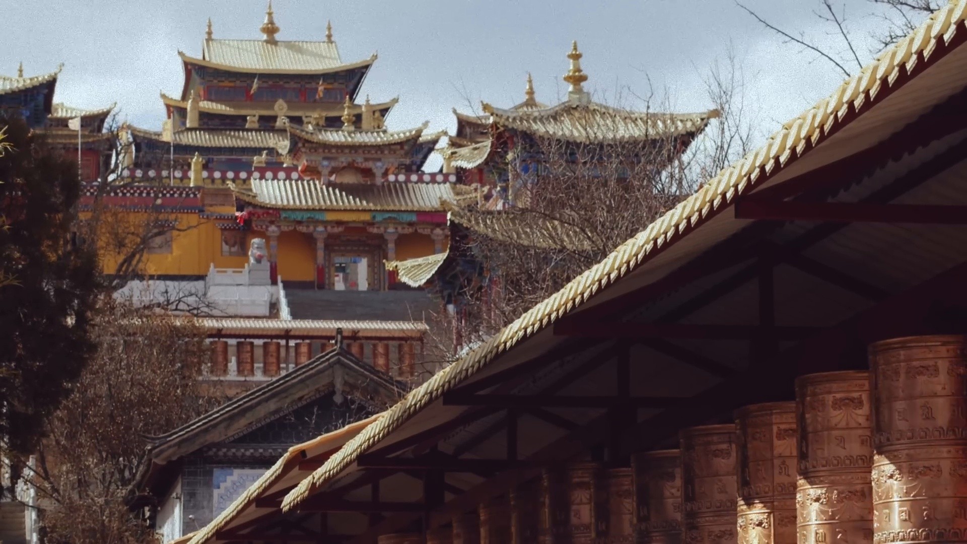 Caule de Bambu (2025) —  shot,  lighting