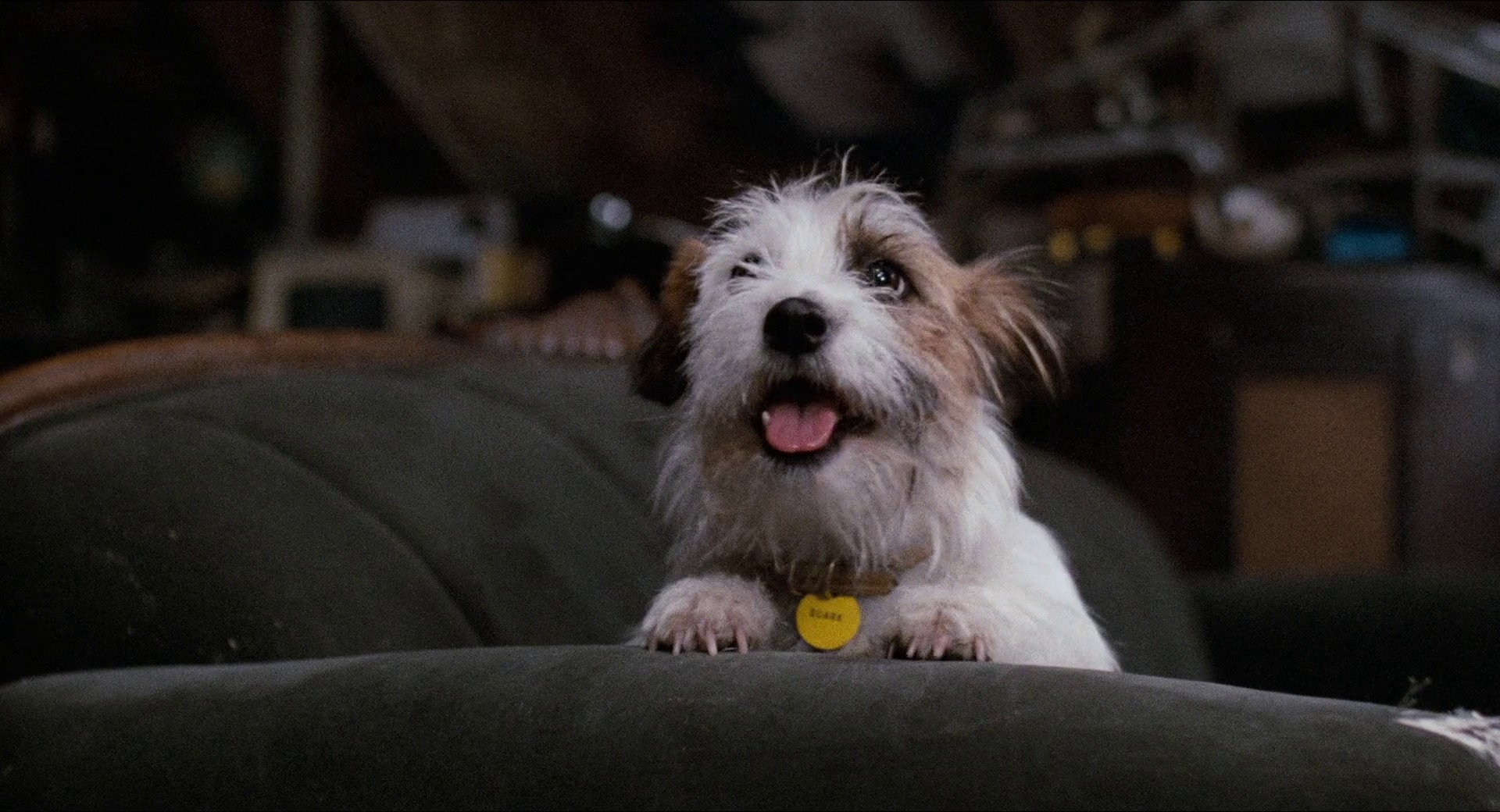 Honey, I Shrunk the Kids (1989) —  shot,  lighting