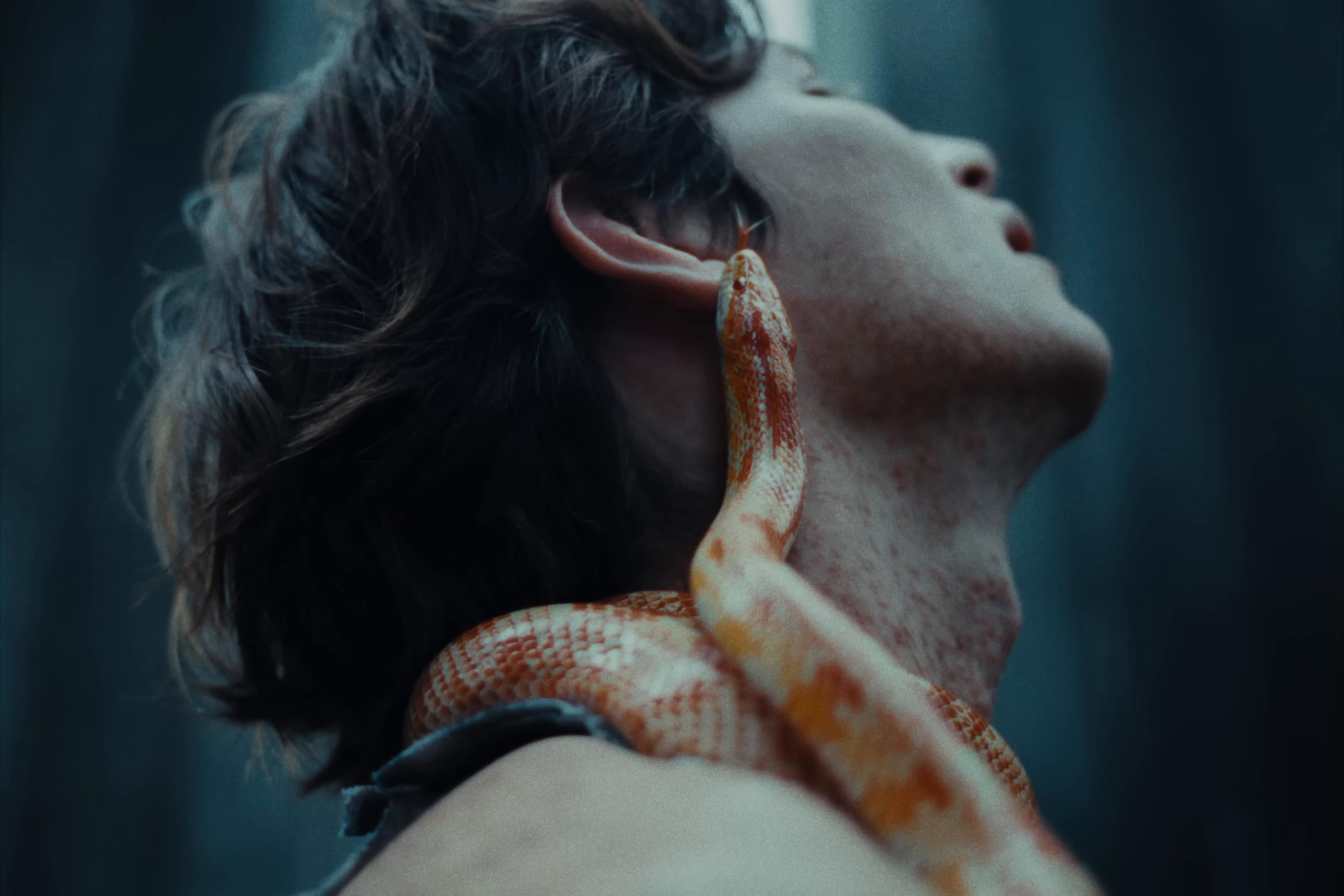 Into Hell (2025) —  shot,  lighting