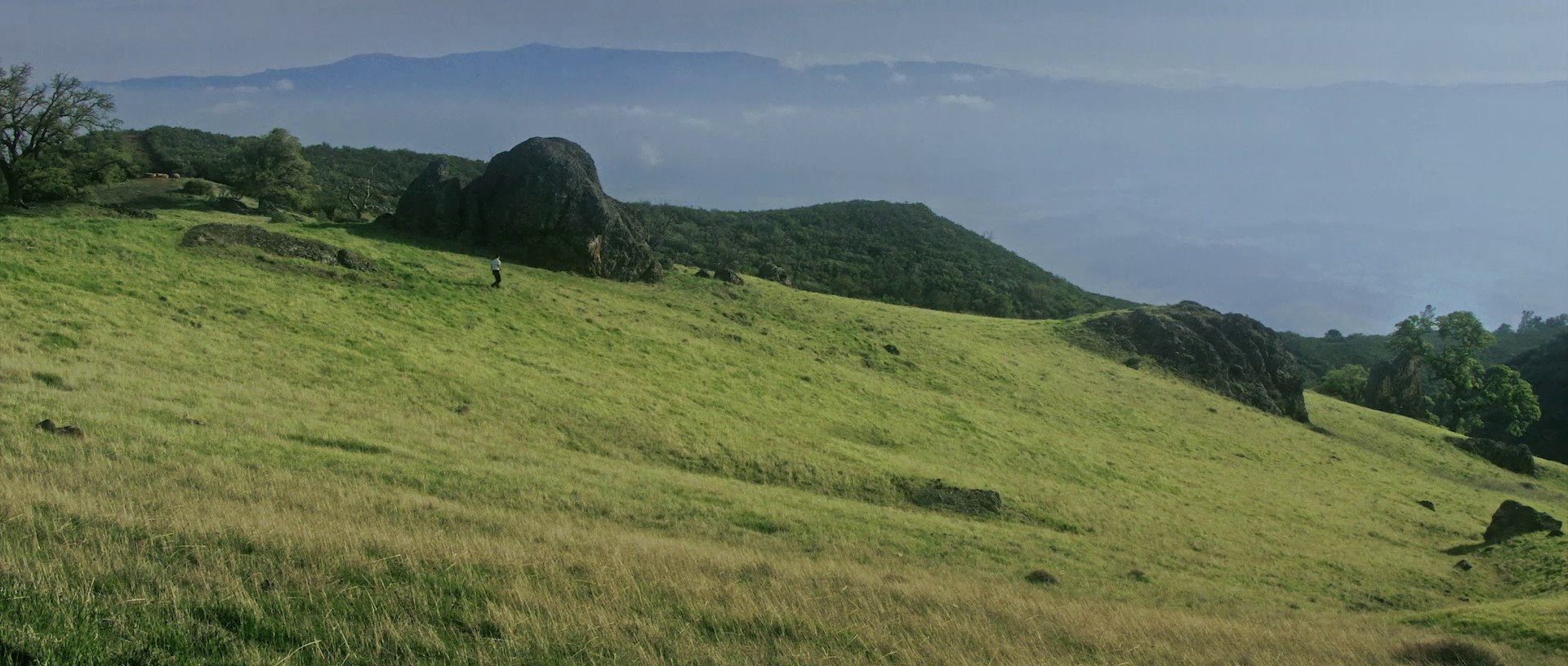 Love is a War (2017) —  shot,  lighting