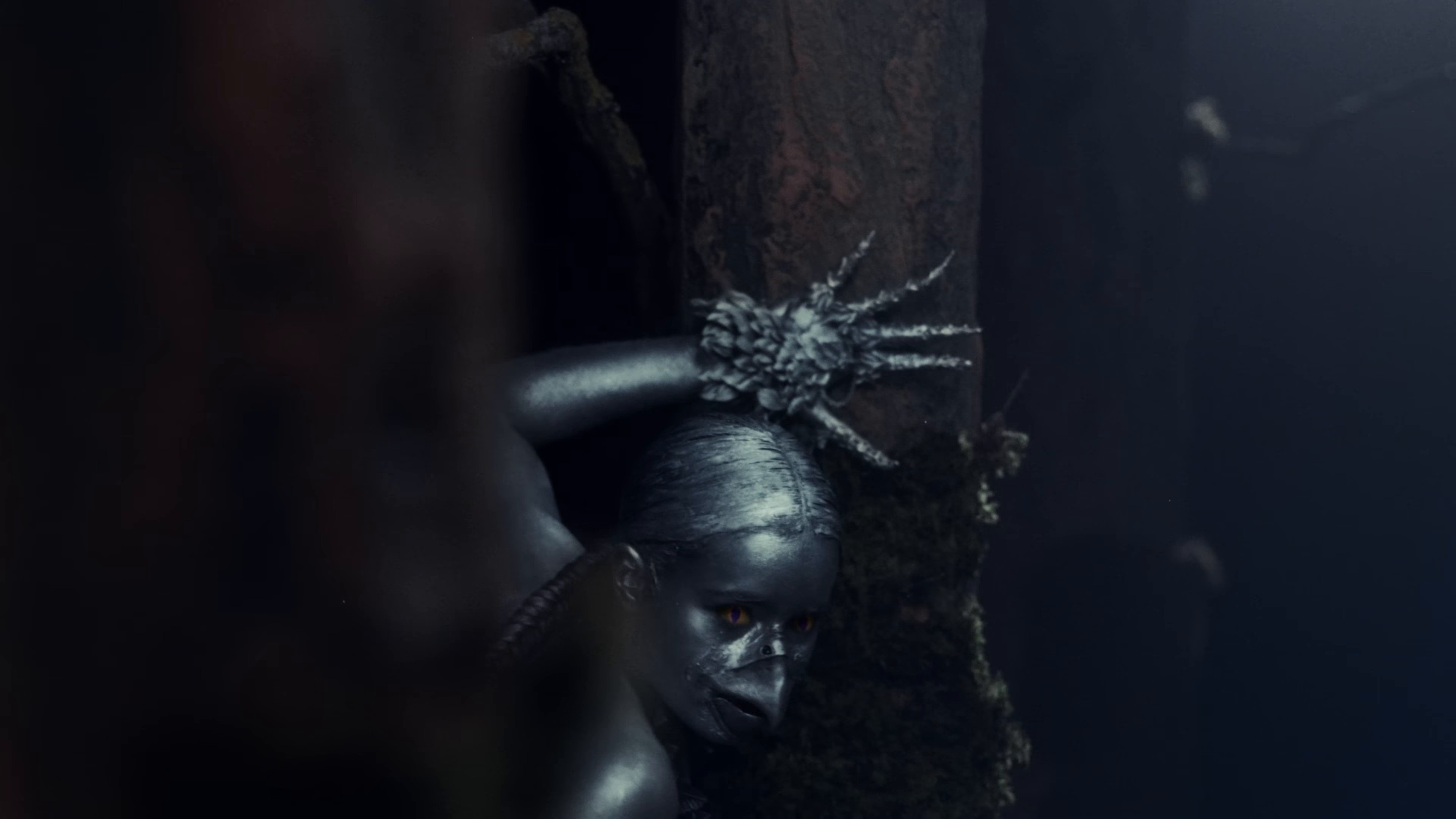 Still Bad (2025) —  shot,  lighting