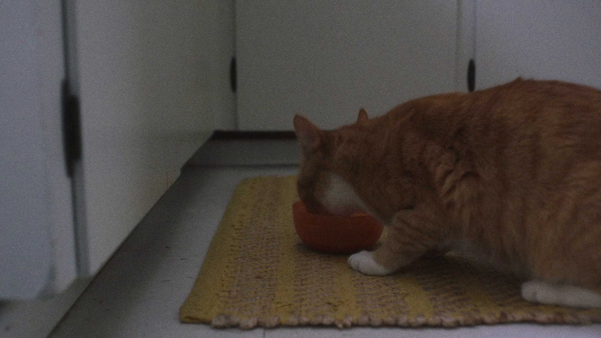 Showing Up (2023) —  shot,  lighting