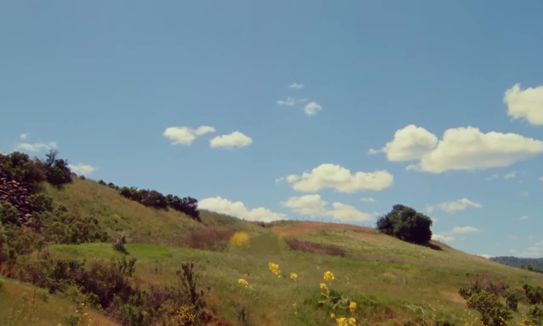 Heaven (2024) —  shot,  lighting