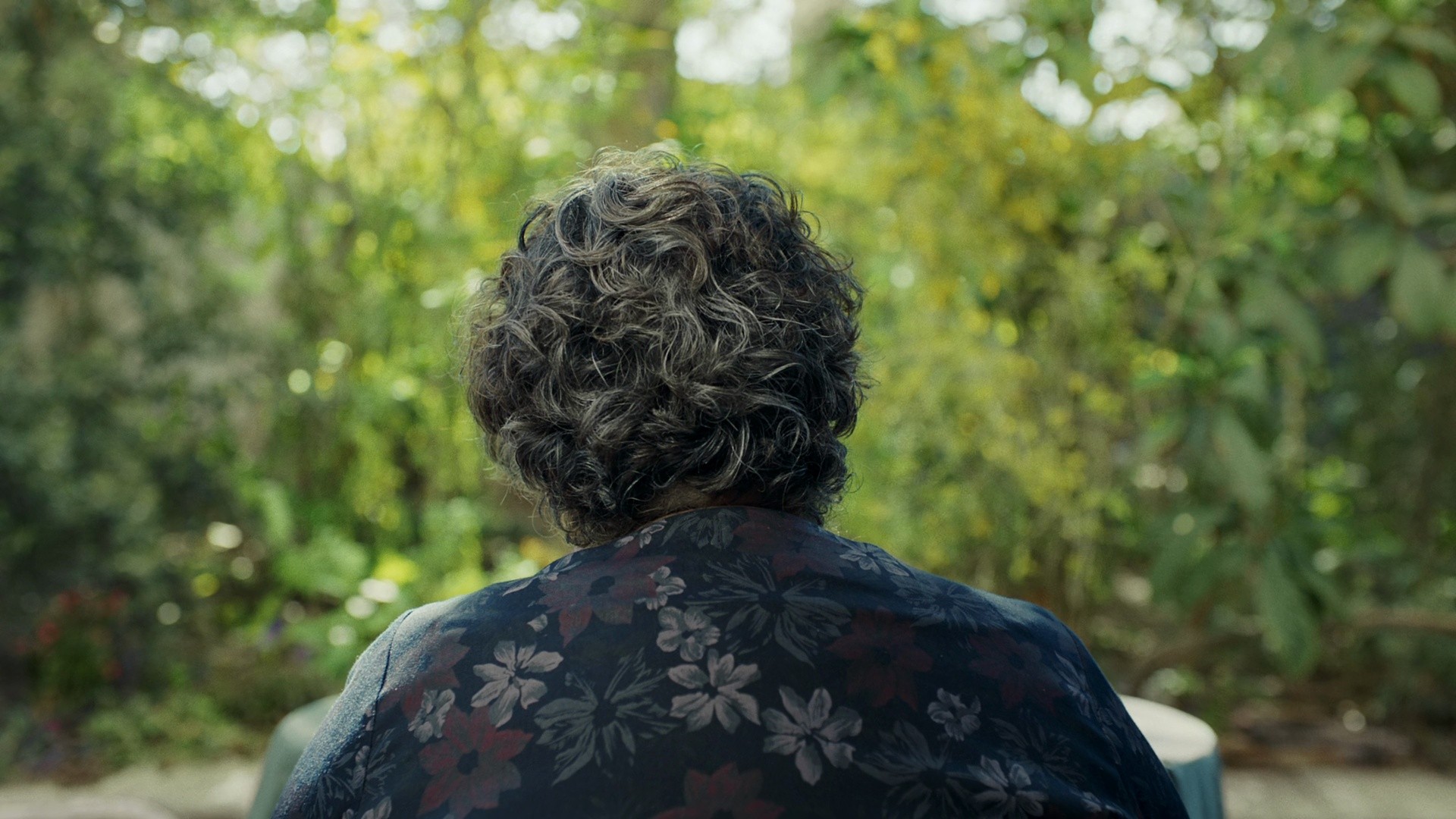 My Favourite Cake (2024) —  shot,  lighting