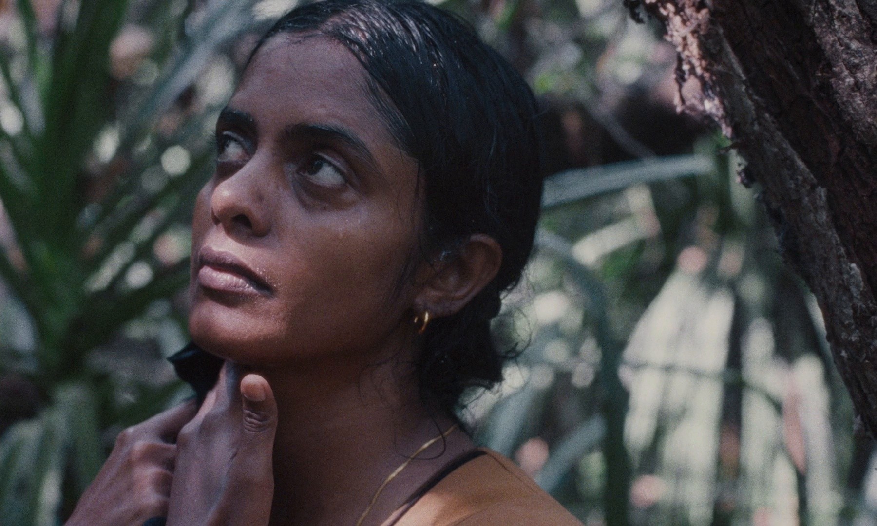 All We Imagine as Light (2024) —  shot,  lighting