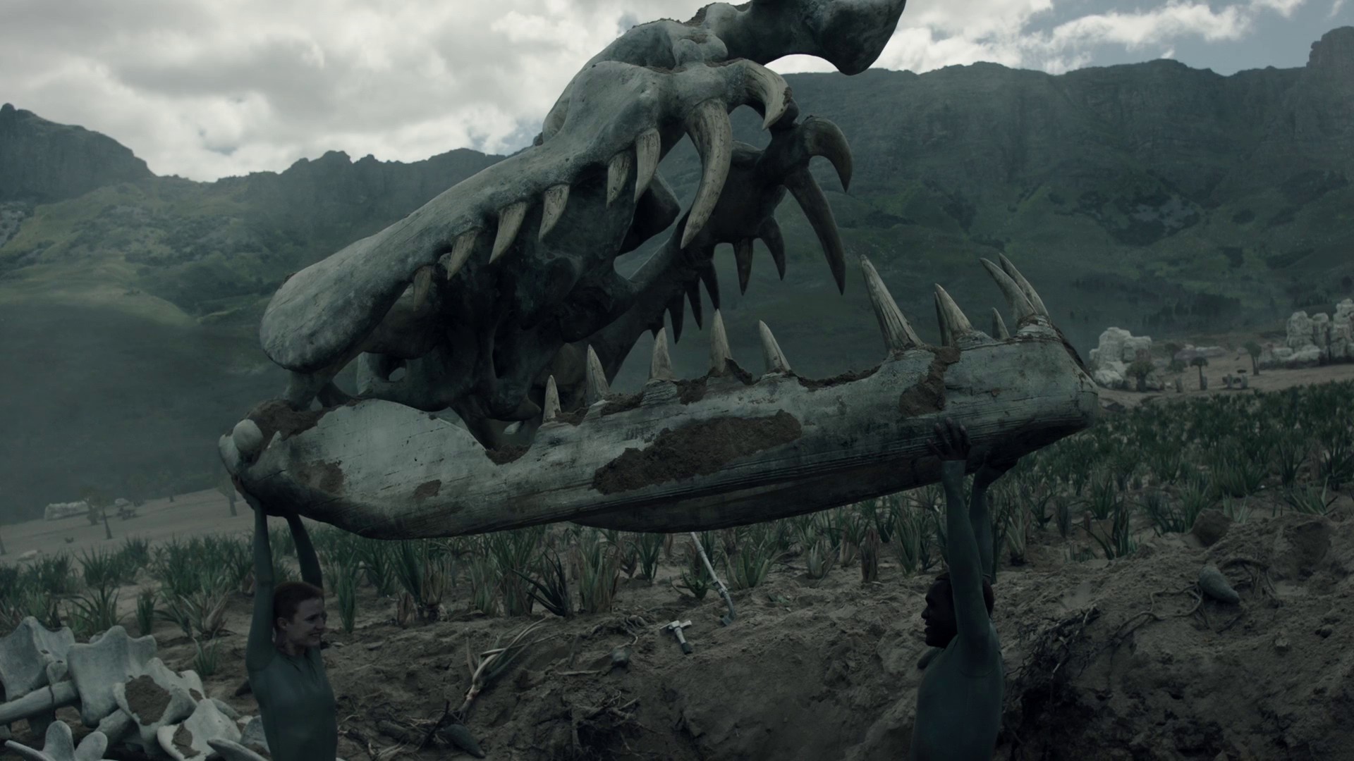 Raised by Wolves (2020) —  shot,  lighting