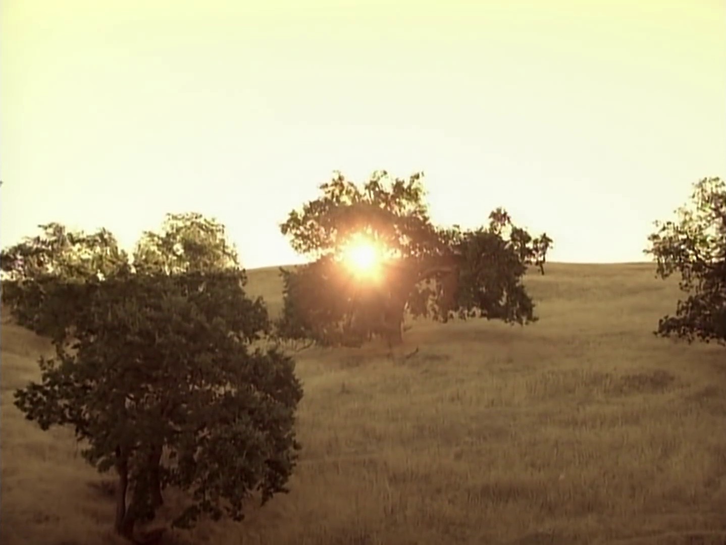 Island In The Sun (2009) —  shot,  lighting