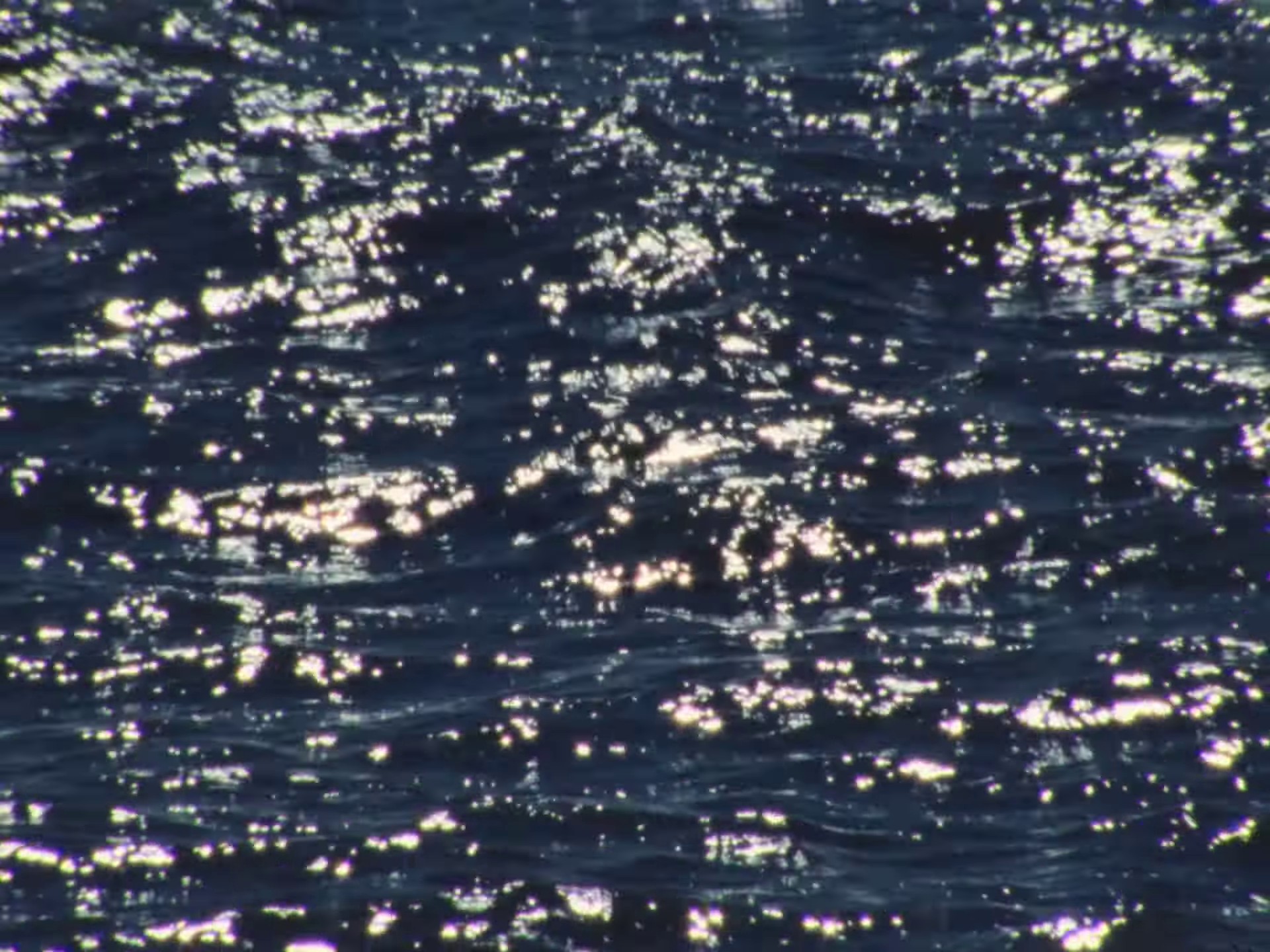 Only One (2024) —  shot,  lighting