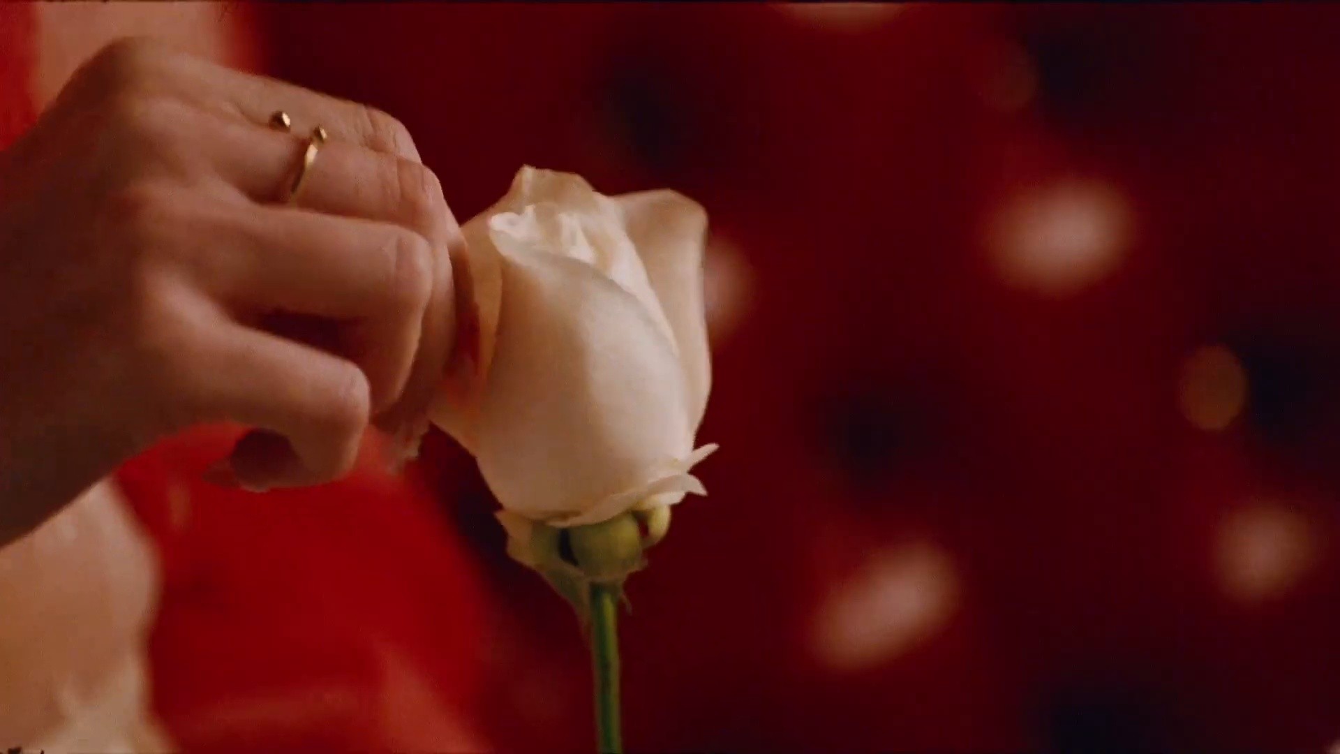 Love Me, Love Me Not | Converse | Alex Consani (2025) —  shot,  lighting