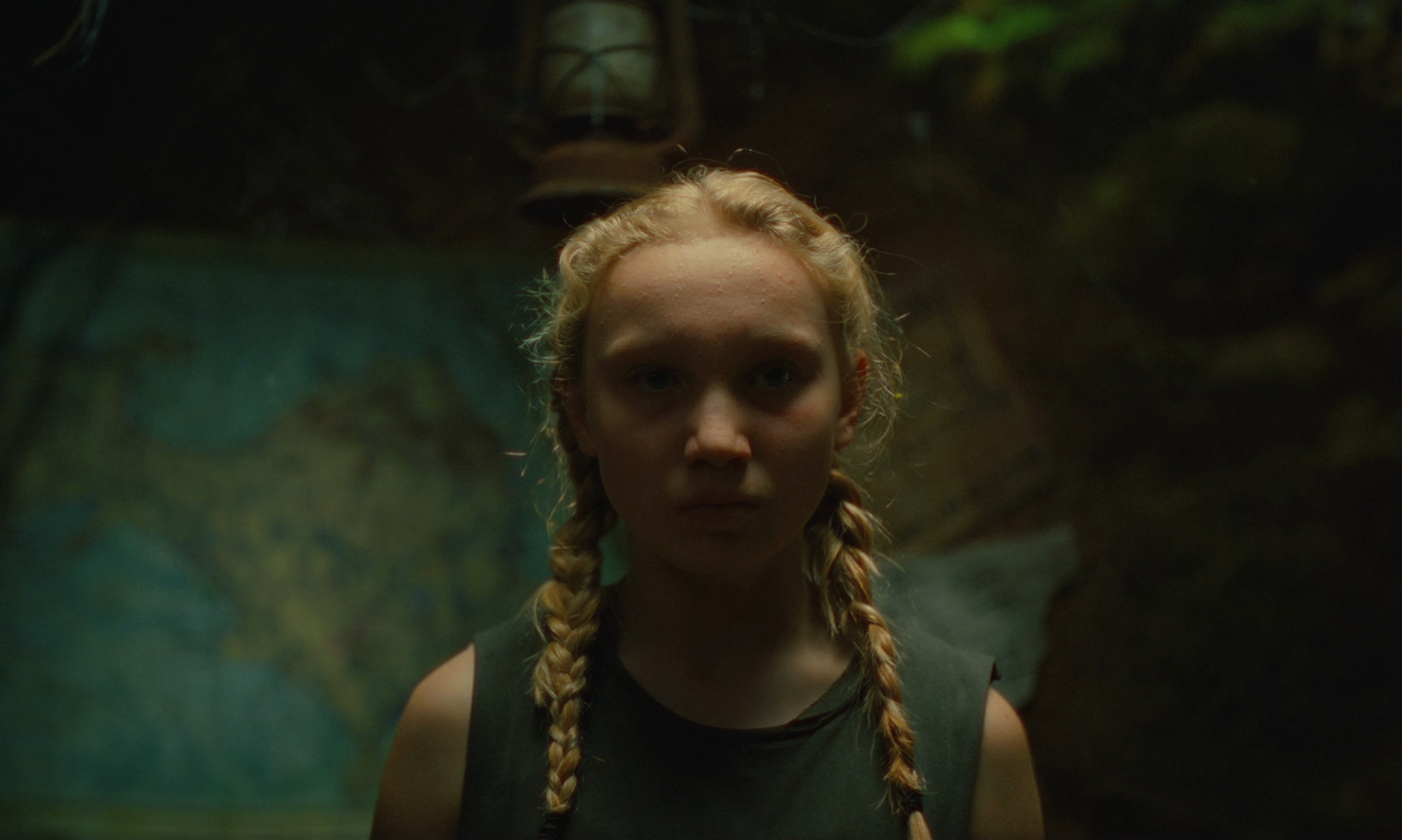 The Legend of Ochi (2025) —  shot,  lighting