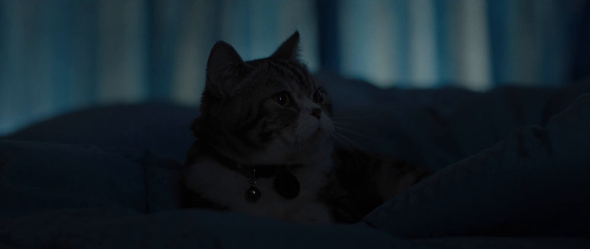 Shell go well (2019) —  shot,  lighting