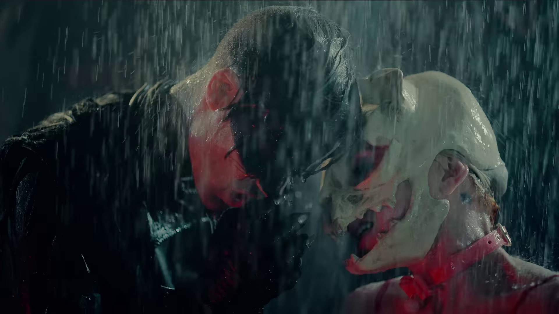 Kitty Girl  (2022) —  shot,  lighting