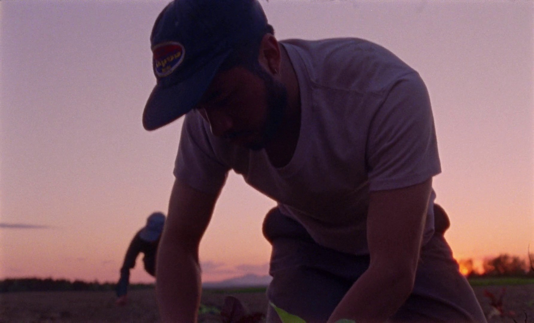 Gallo pinto (2019) —  shot,  lighting