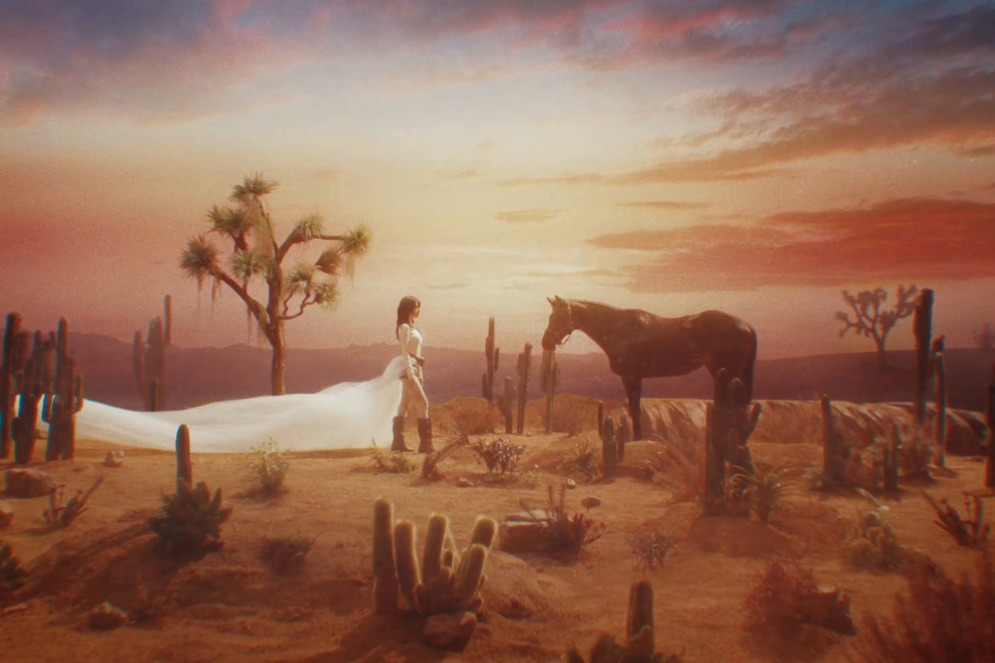 SUPA DUPA LUV (2025) —  shot,  lighting