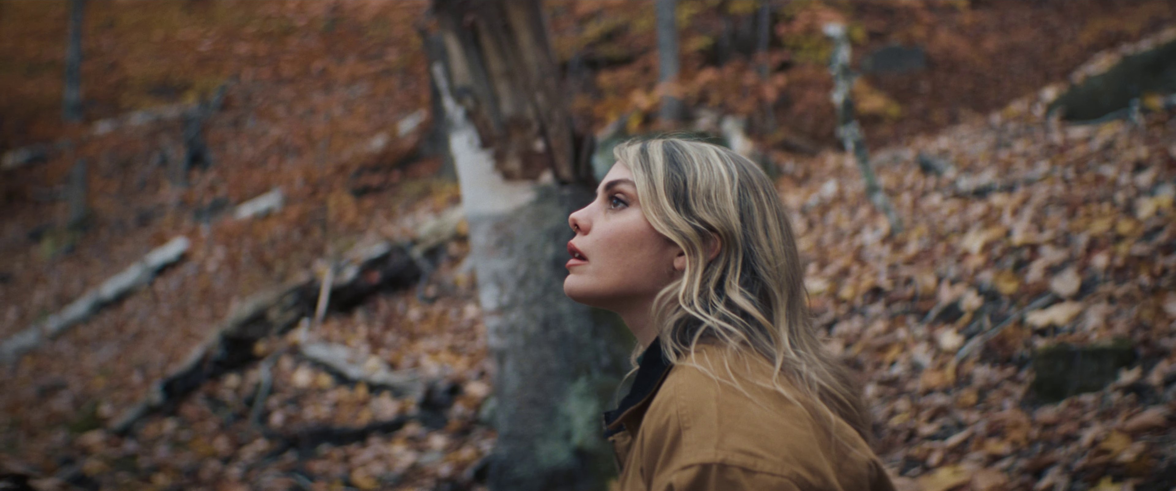 C'était salement romantique (reprise) (2023) —  shot,  lighting