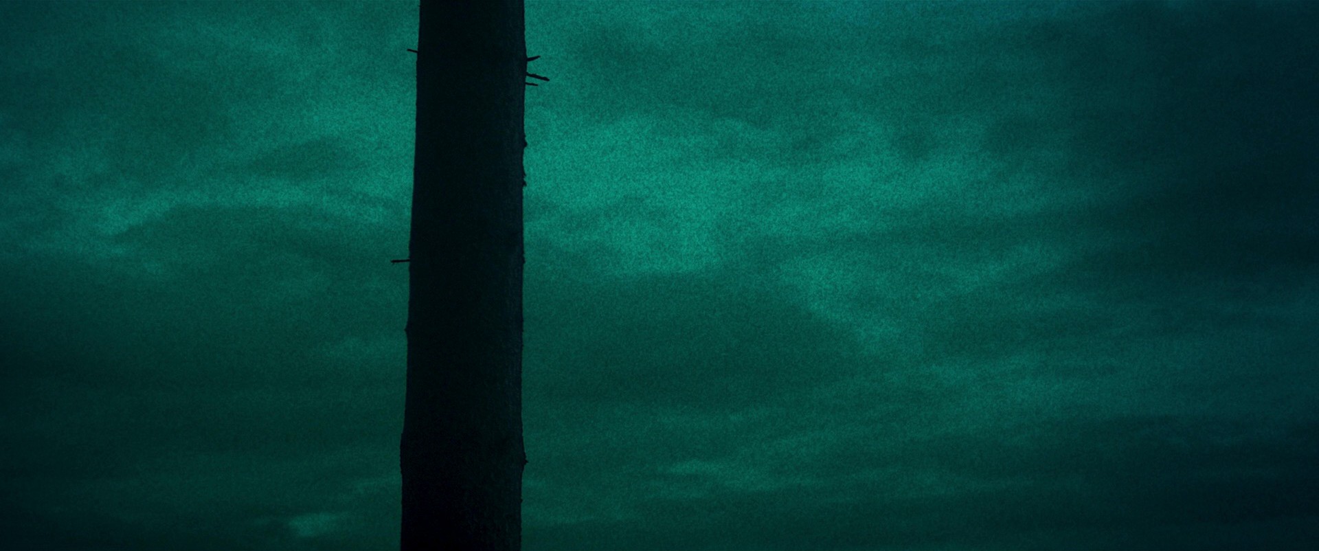 Mandy (2018) —  shot,  lighting