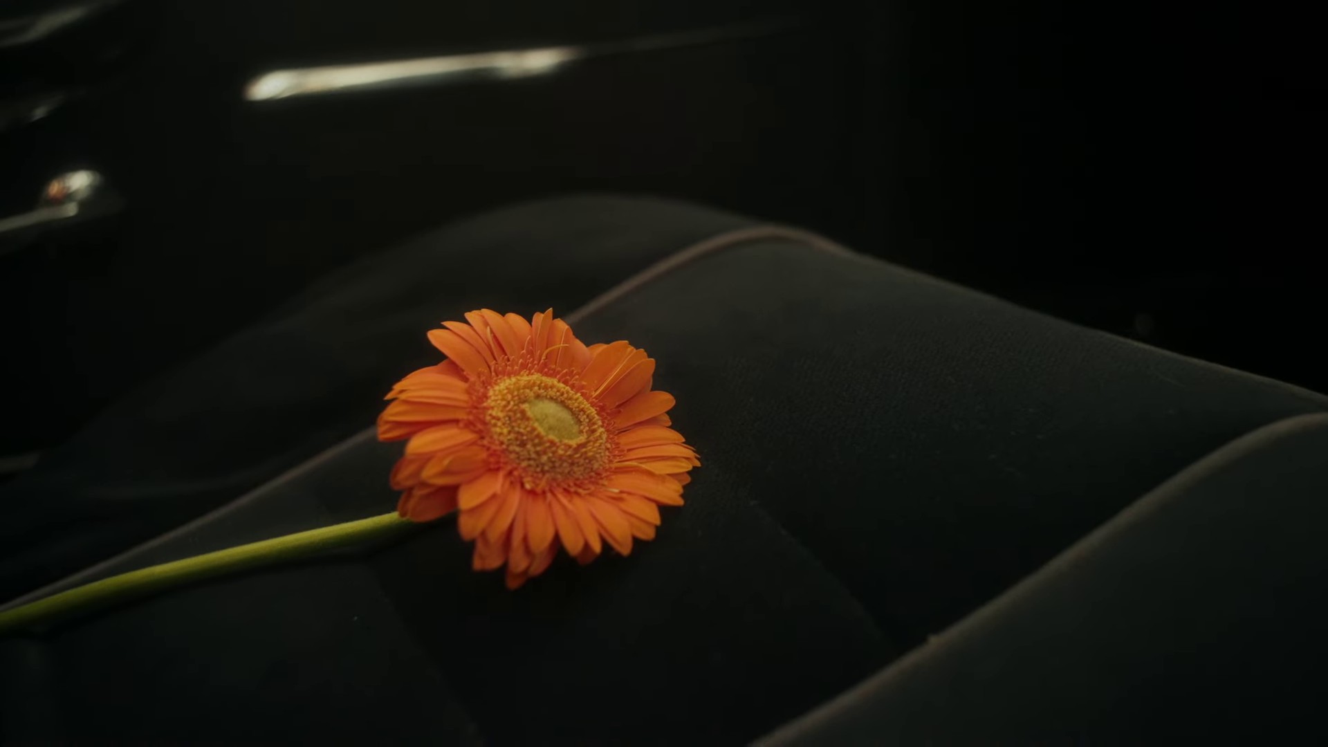 HORNS (2023) —  shot,  lighting