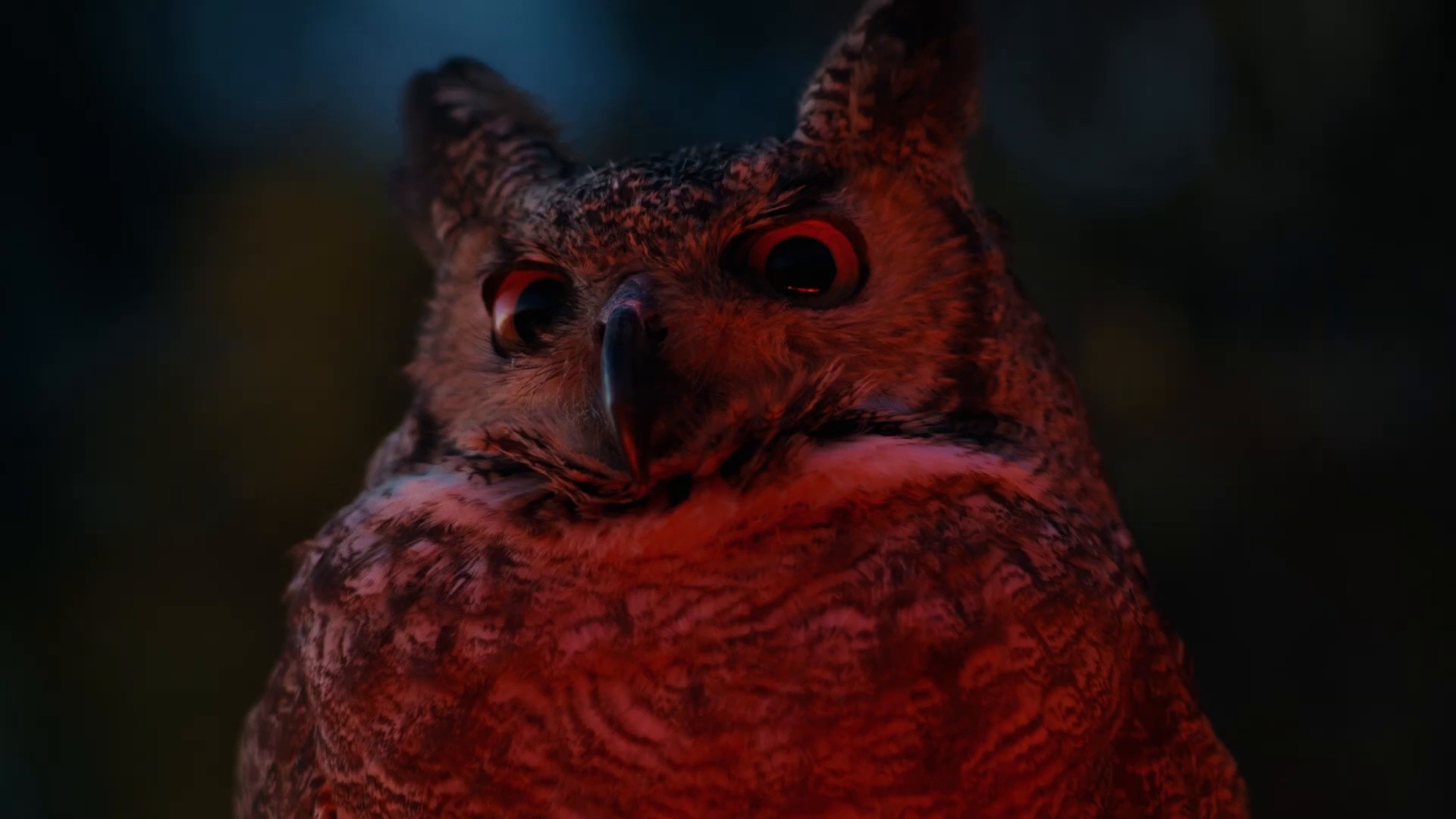 AXE | WHAT IS LOVE - AXE X BZRP (2024) —  shot,  lighting