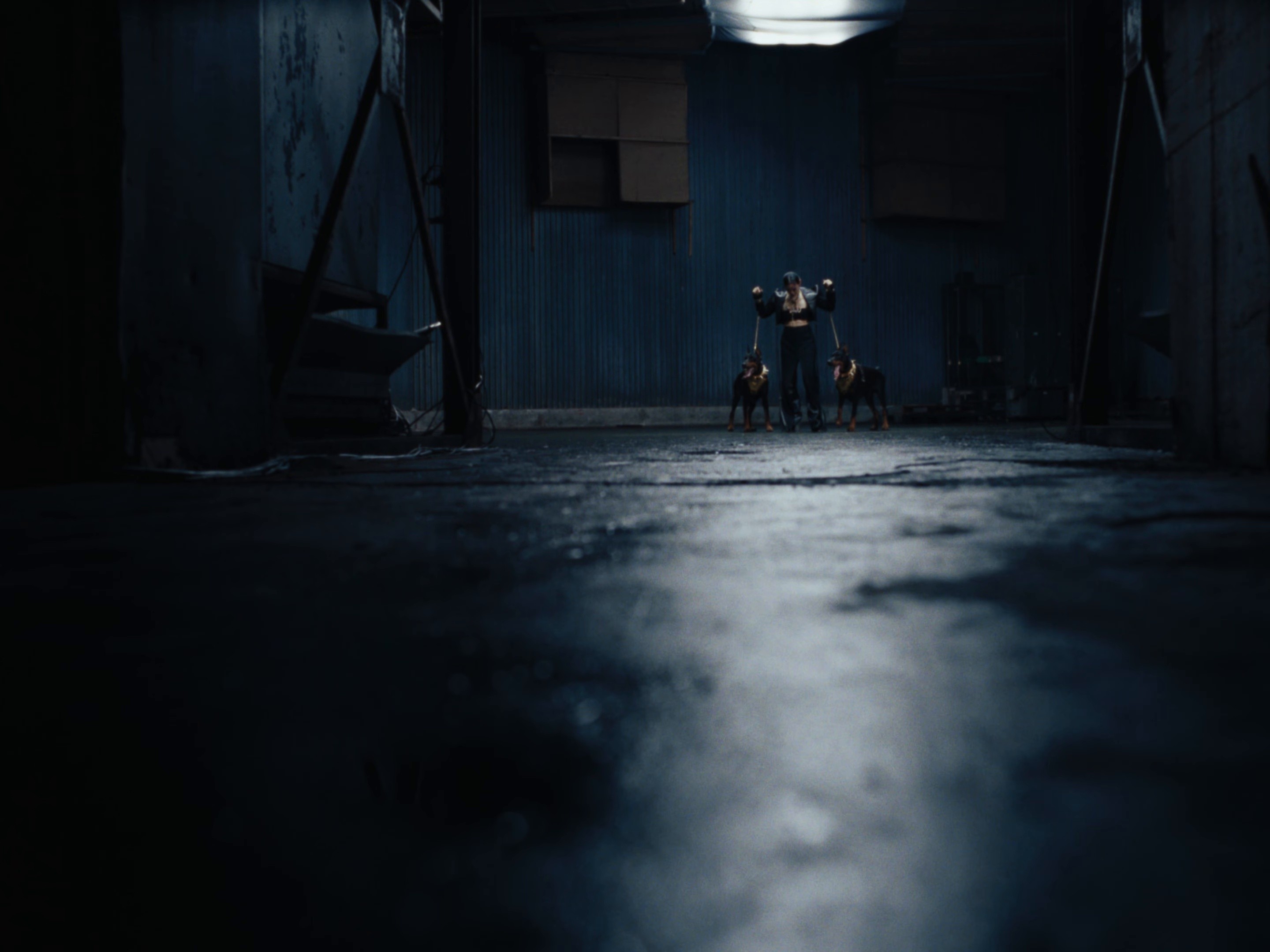 Golden Horizon (2026) —  shot,  lighting