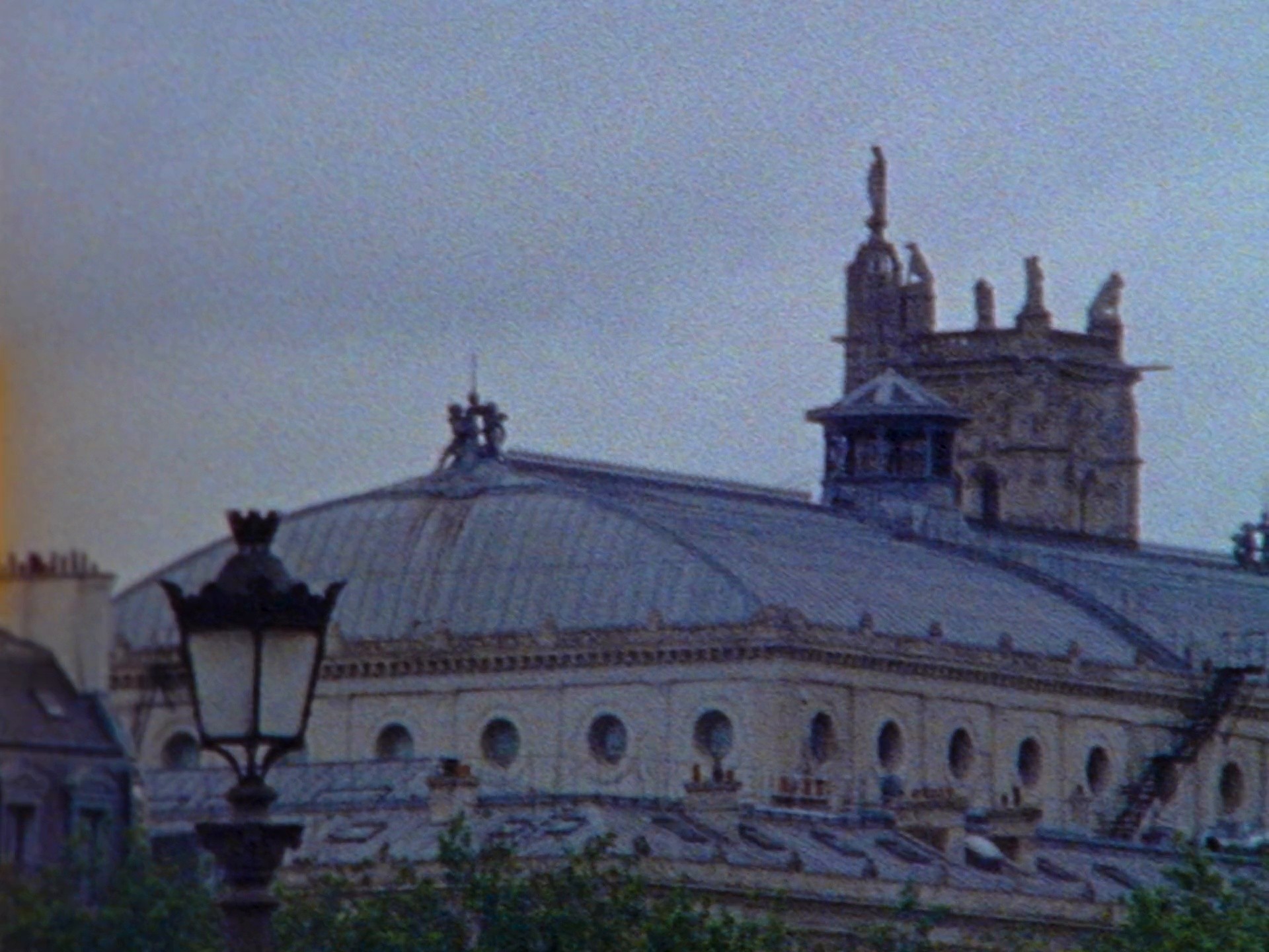 TAGLIATORE FW24 (2024) —  shot,  lighting