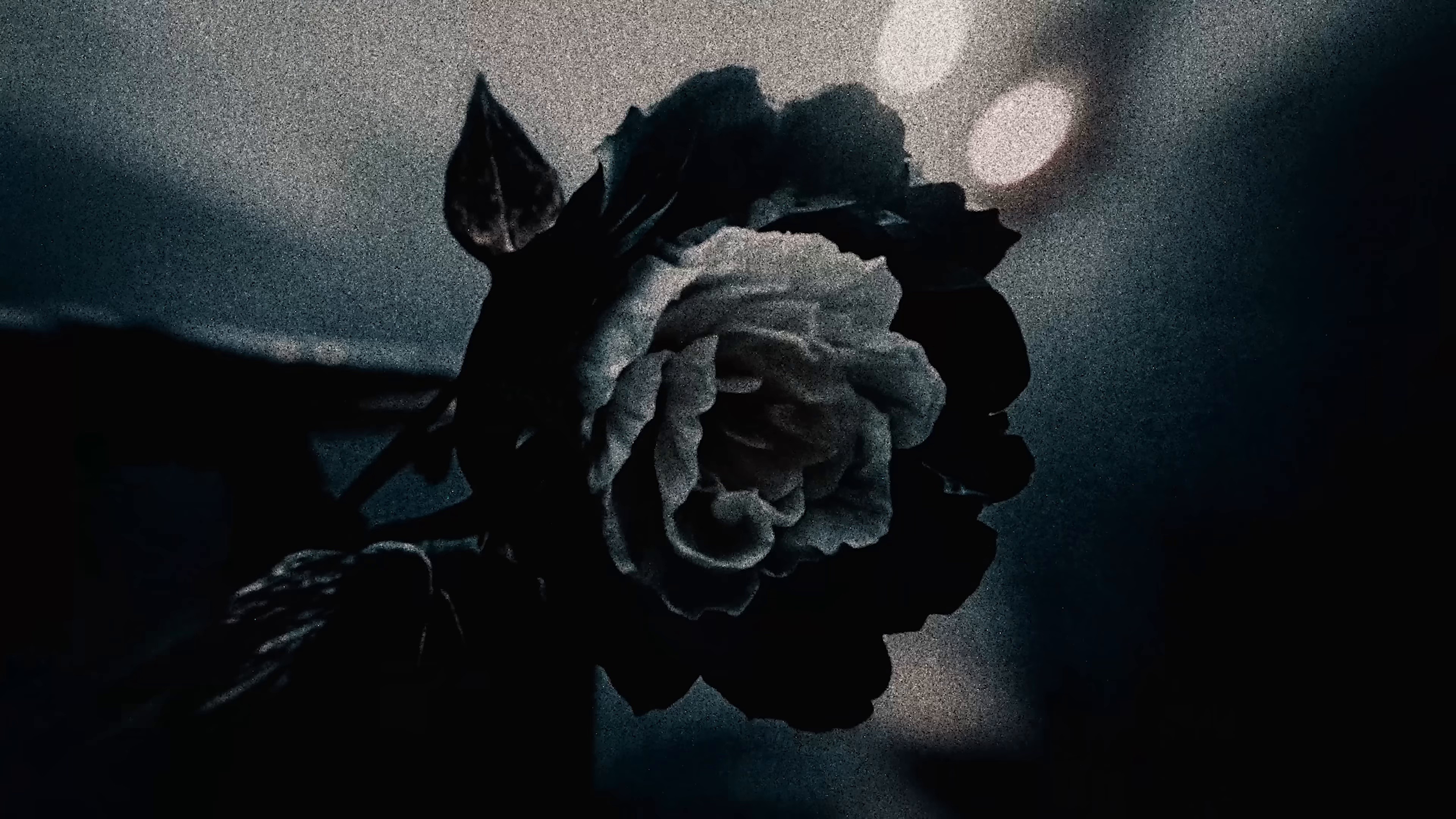 Rien ne se remplace (2025) —  shot,  lighting