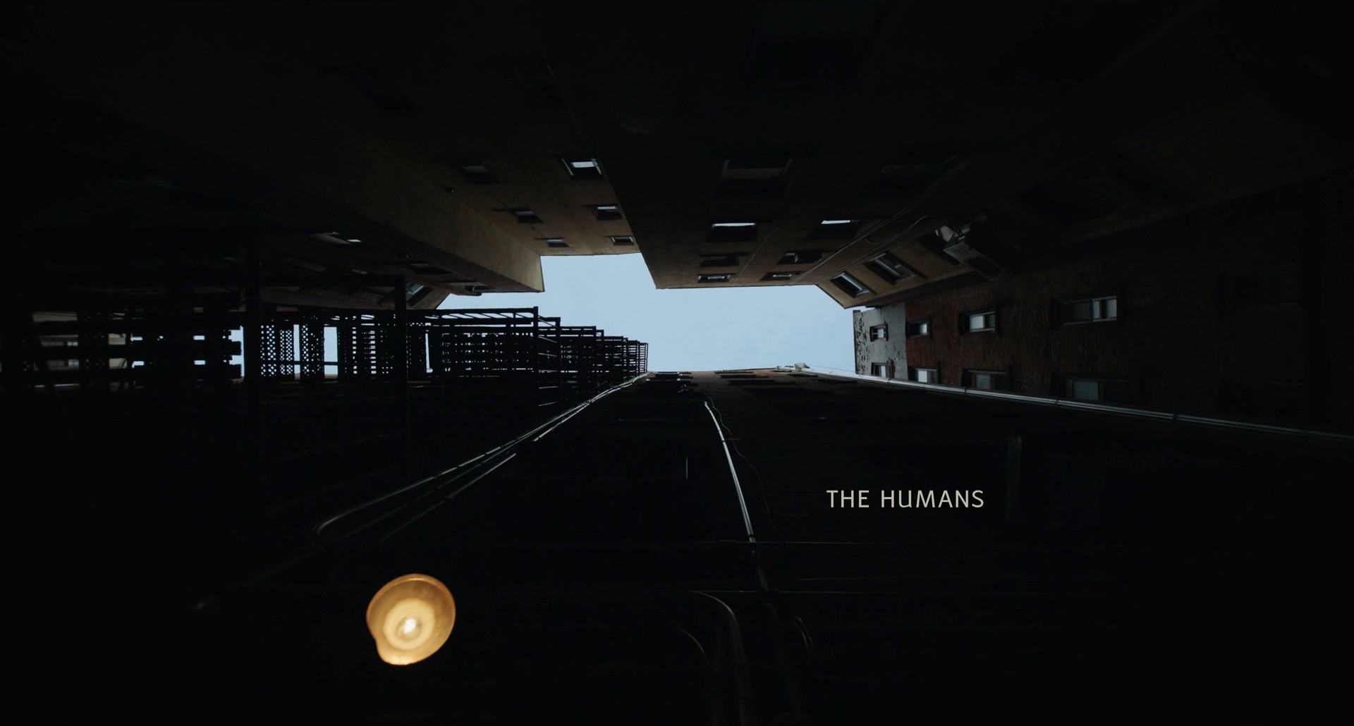 The Humans (2021) —  shot,  lighting