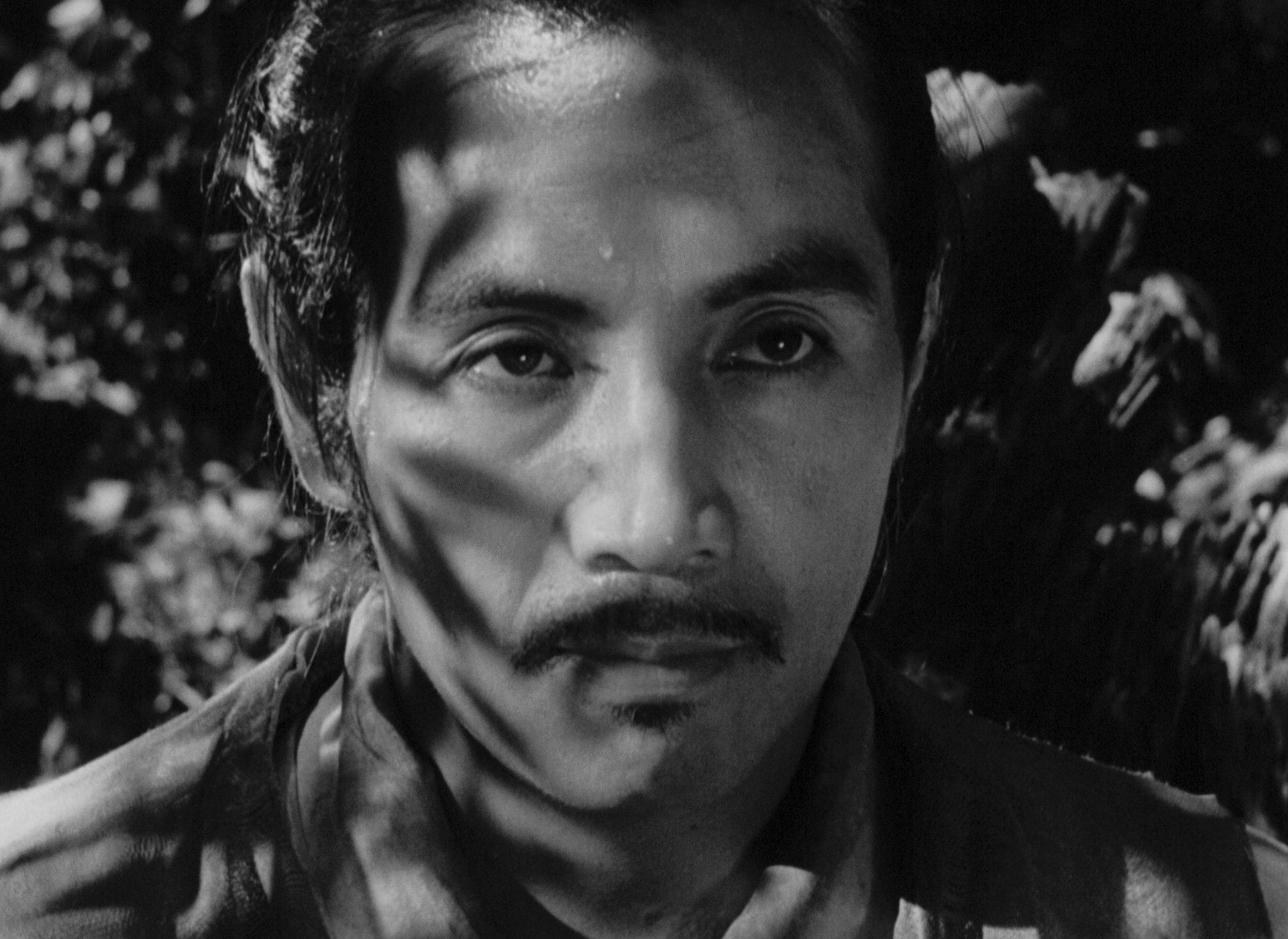 Rashomon (1950) —  shot,  lighting