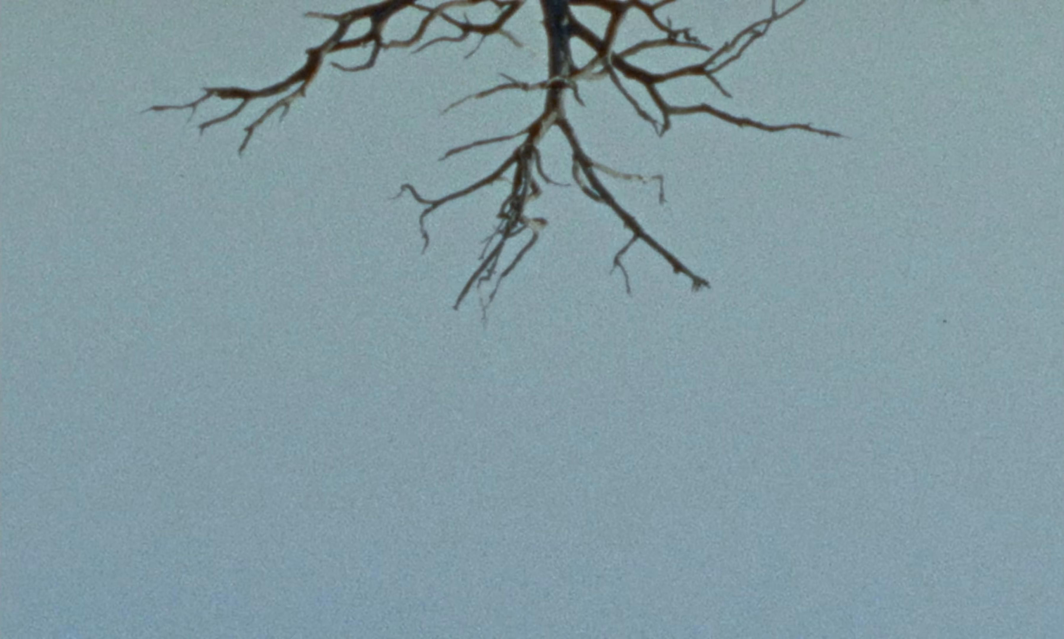 CHIAMO IO CHIAMI TU (2025) —  shot,  lighting