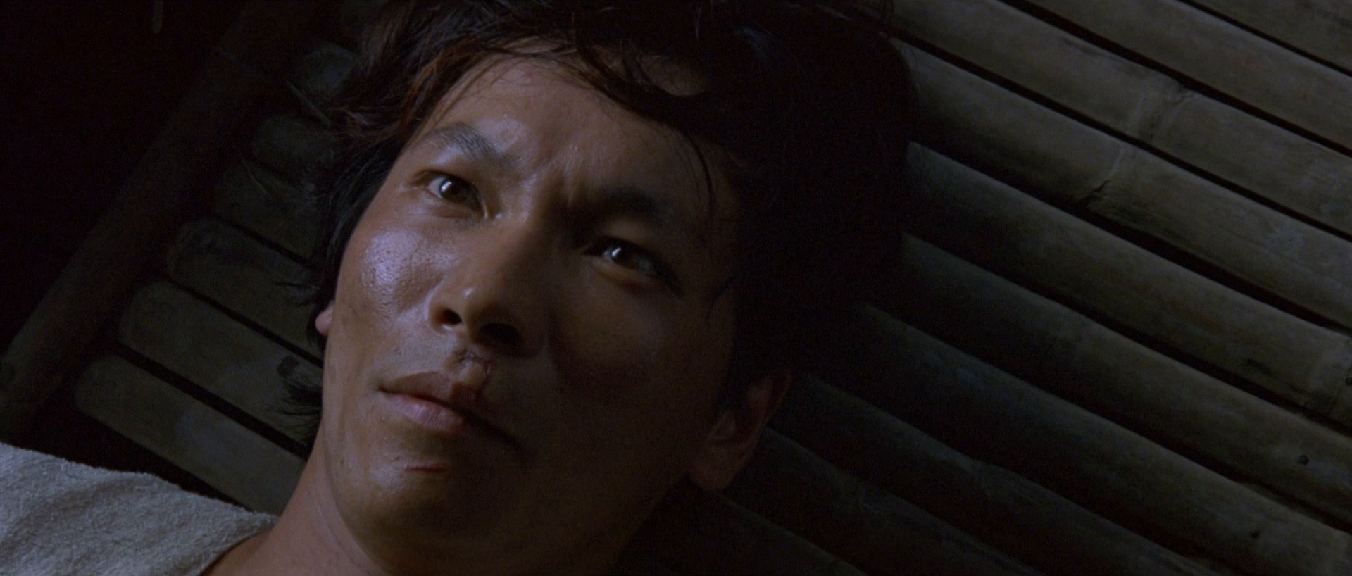 The Beautiful Country (2004) —  shot,  lighting