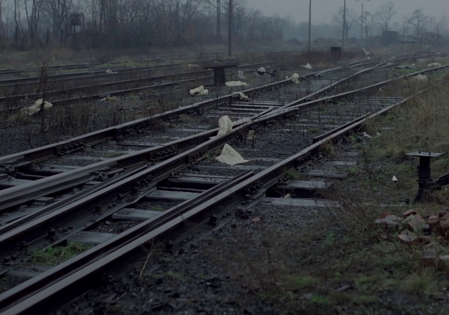 Shivers (1981) —  shot,  lighting