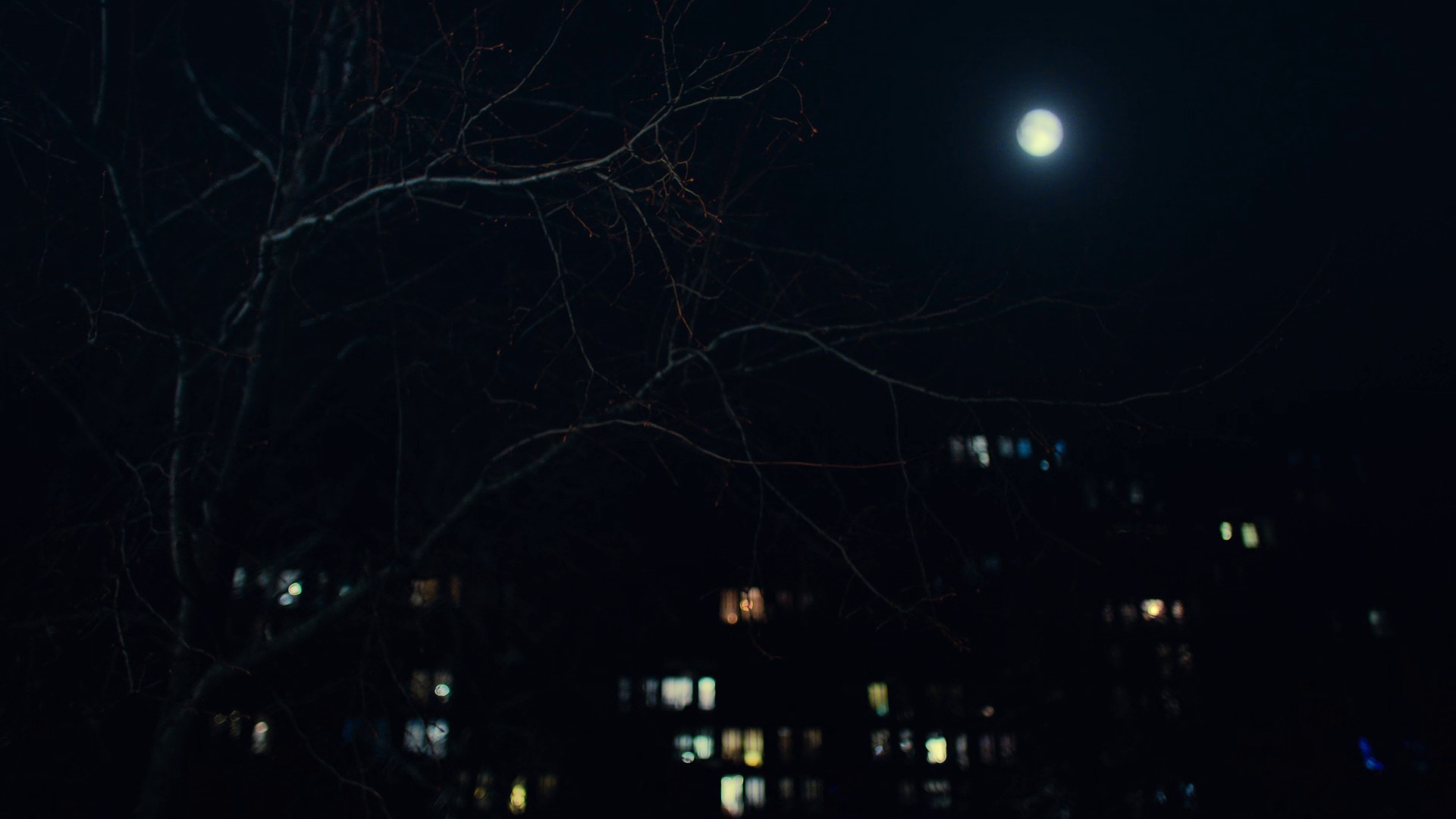 Copenhagen (2023) —  shot,  lighting