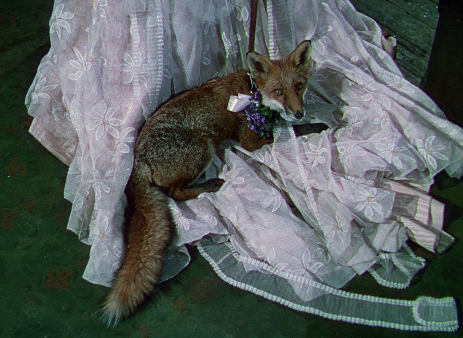 Gone to Earth (1950) —  shot,  lighting