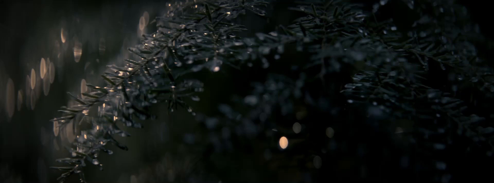 Merrell - Step Further (2022) —  shot,  lighting