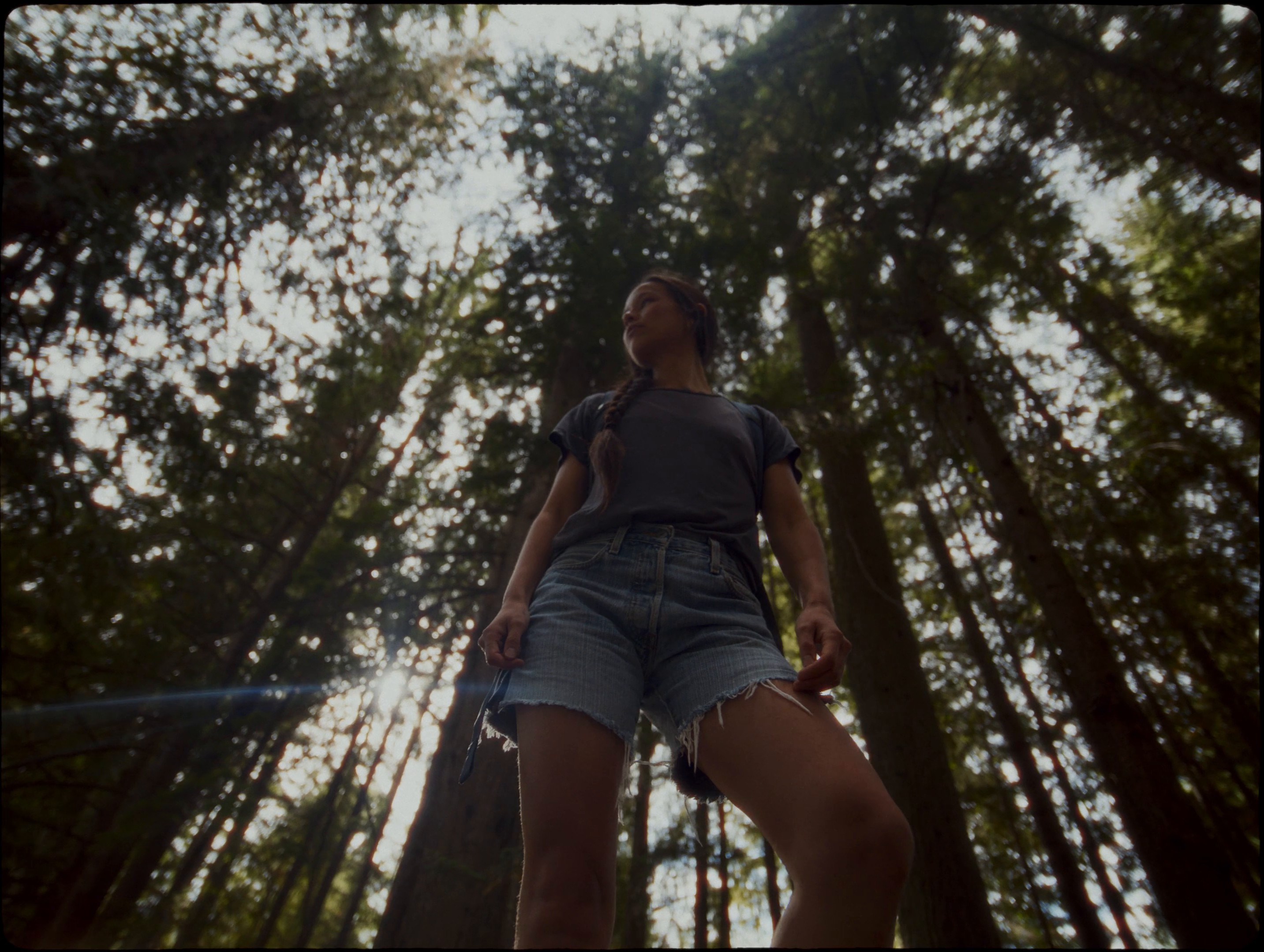 Tourism Whistler - 2024 - Directors Cut (2024) —  shot,  lighting