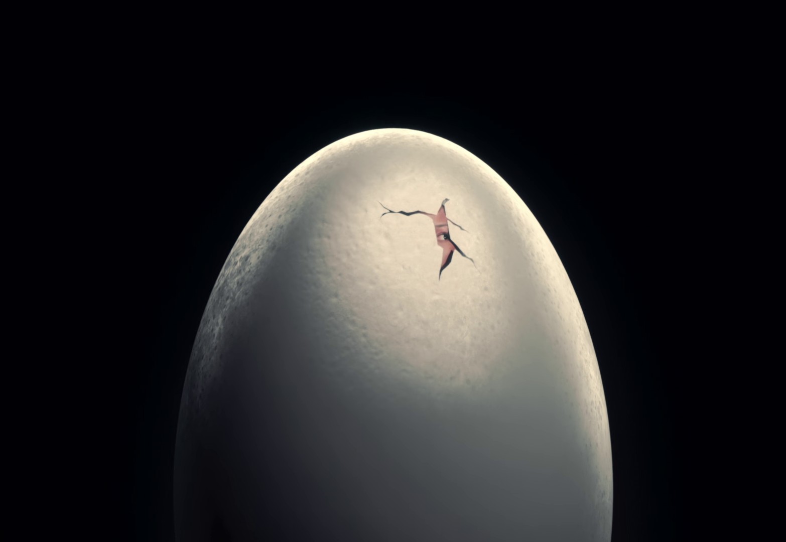 HISS (2024) —  shot,  lighting