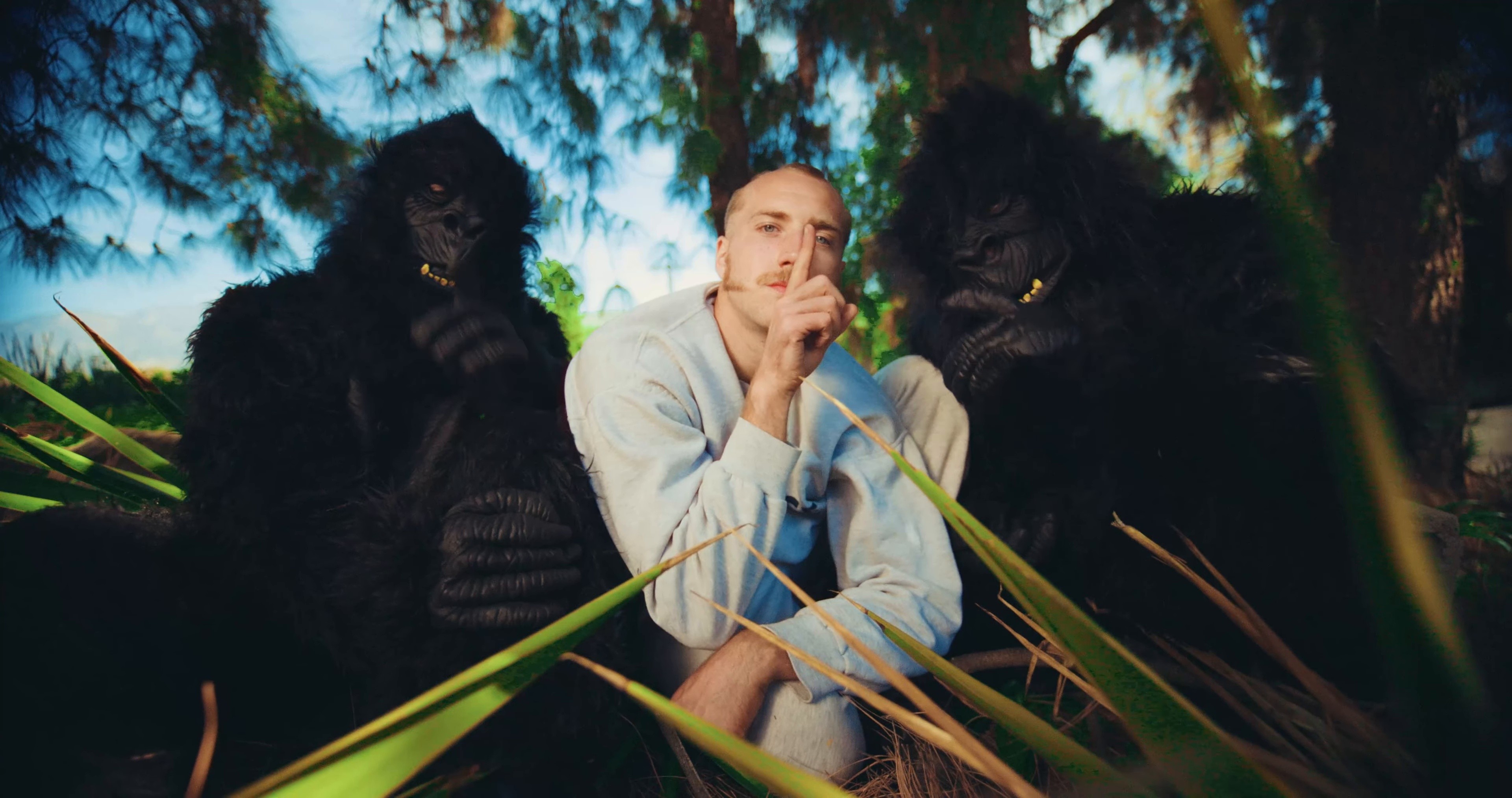 RabbitsFoot (2025) —  shot,  lighting