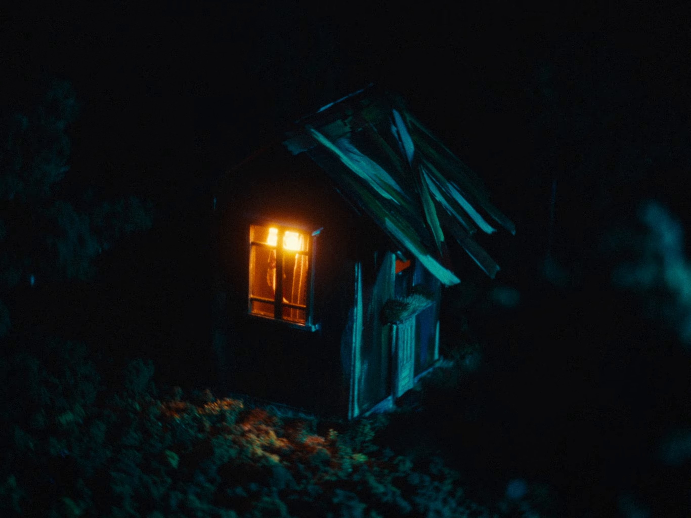 Fauvism (2024) —  shot,  lighting