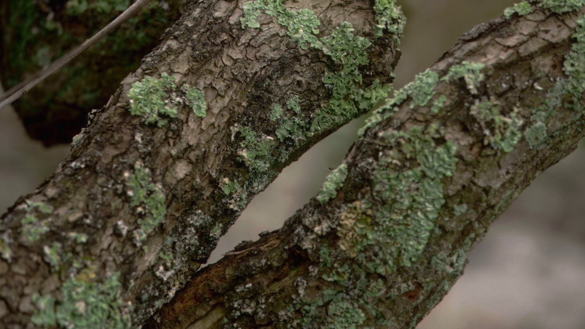 What Holds (2022) —  shot,  lighting